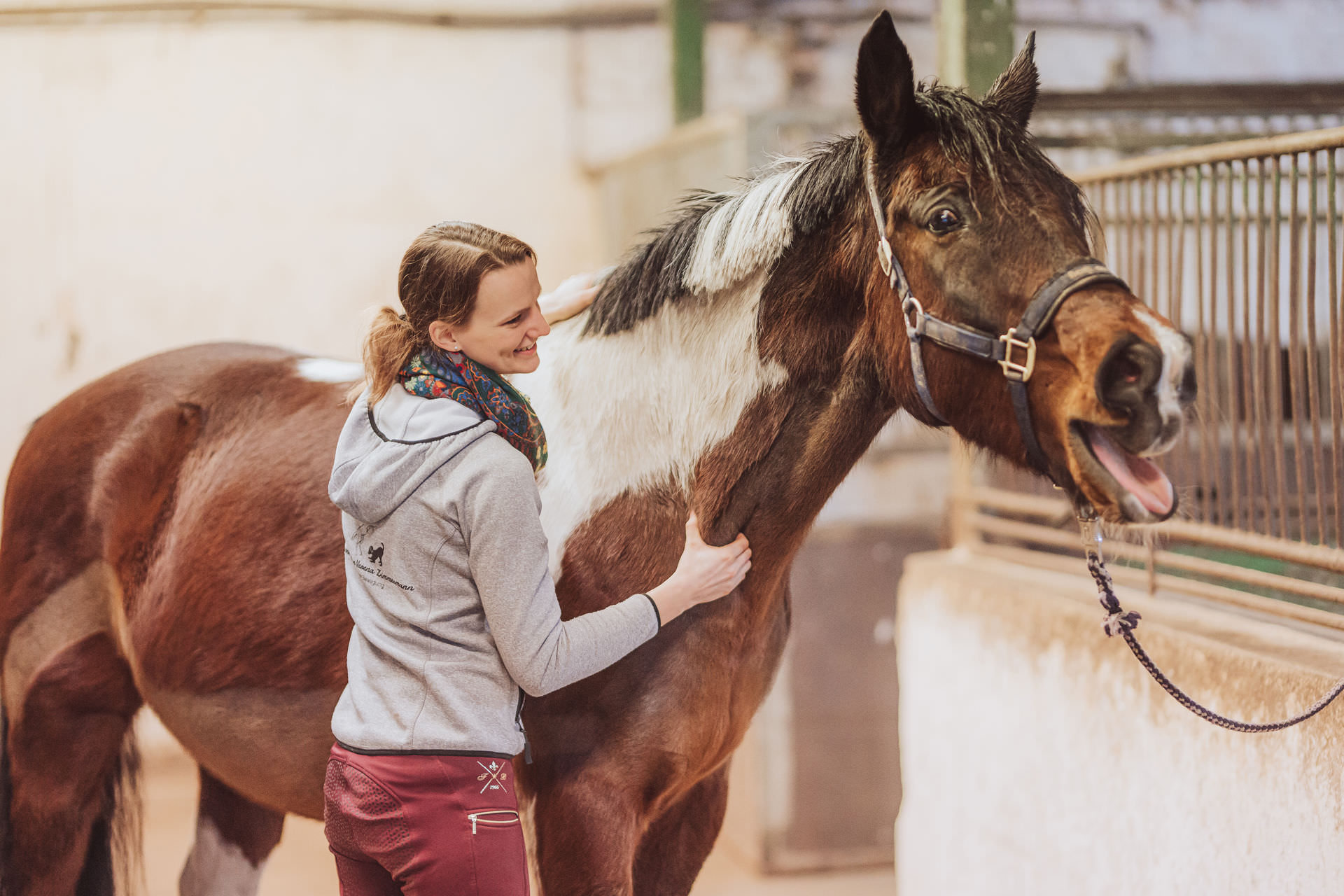Businessfotografie Tierbusiness Tierosteopathin Physiotherapie Hunde Pferde Rostock