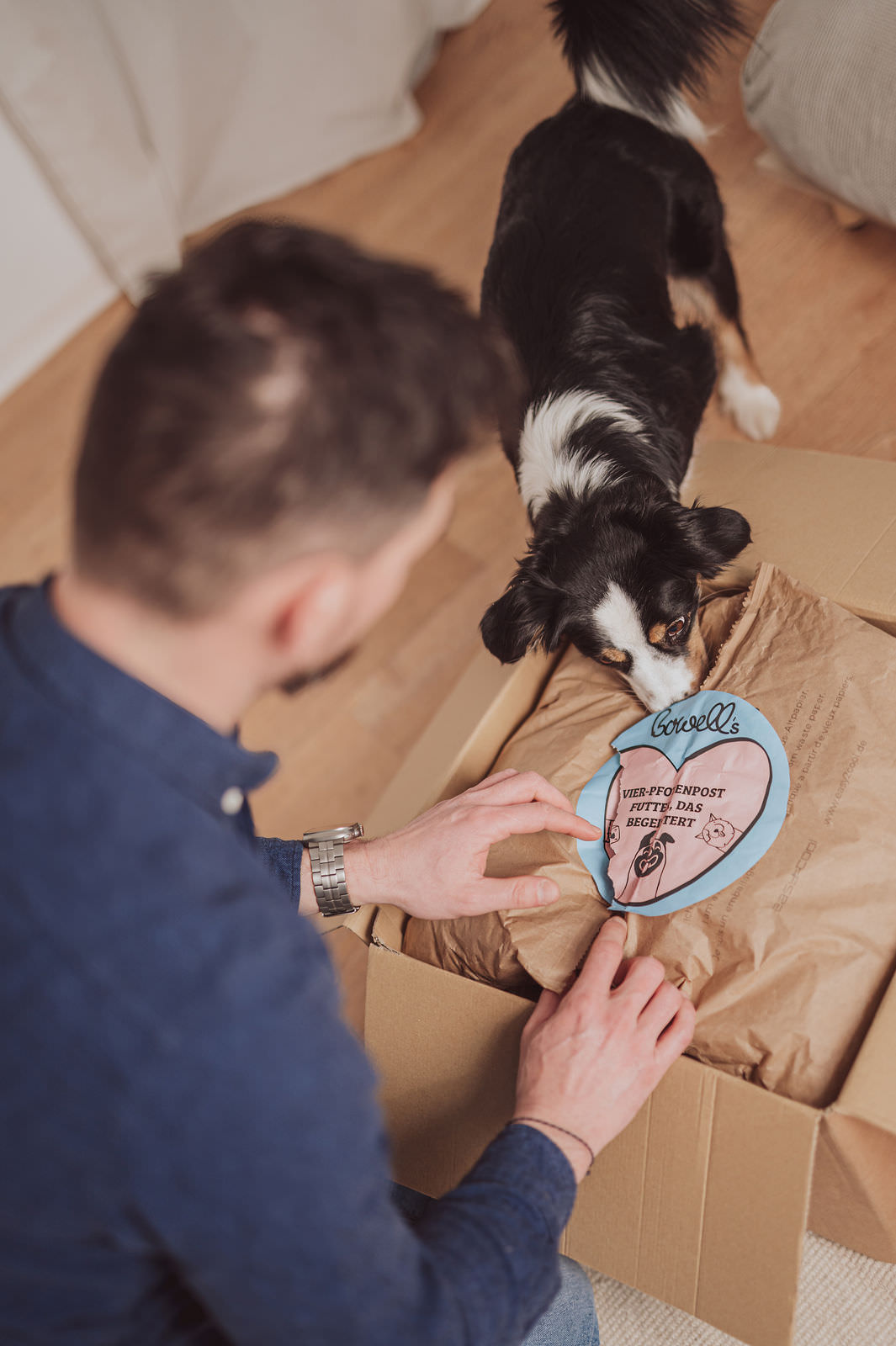 Business-Fotograf-Hundefutter-Businesfotos-Rostock-Fotoshooting-Unternehmen-Rostock-12 Professionelle Produktfotos für Bowells – Hundefuttermarke aus Rostock