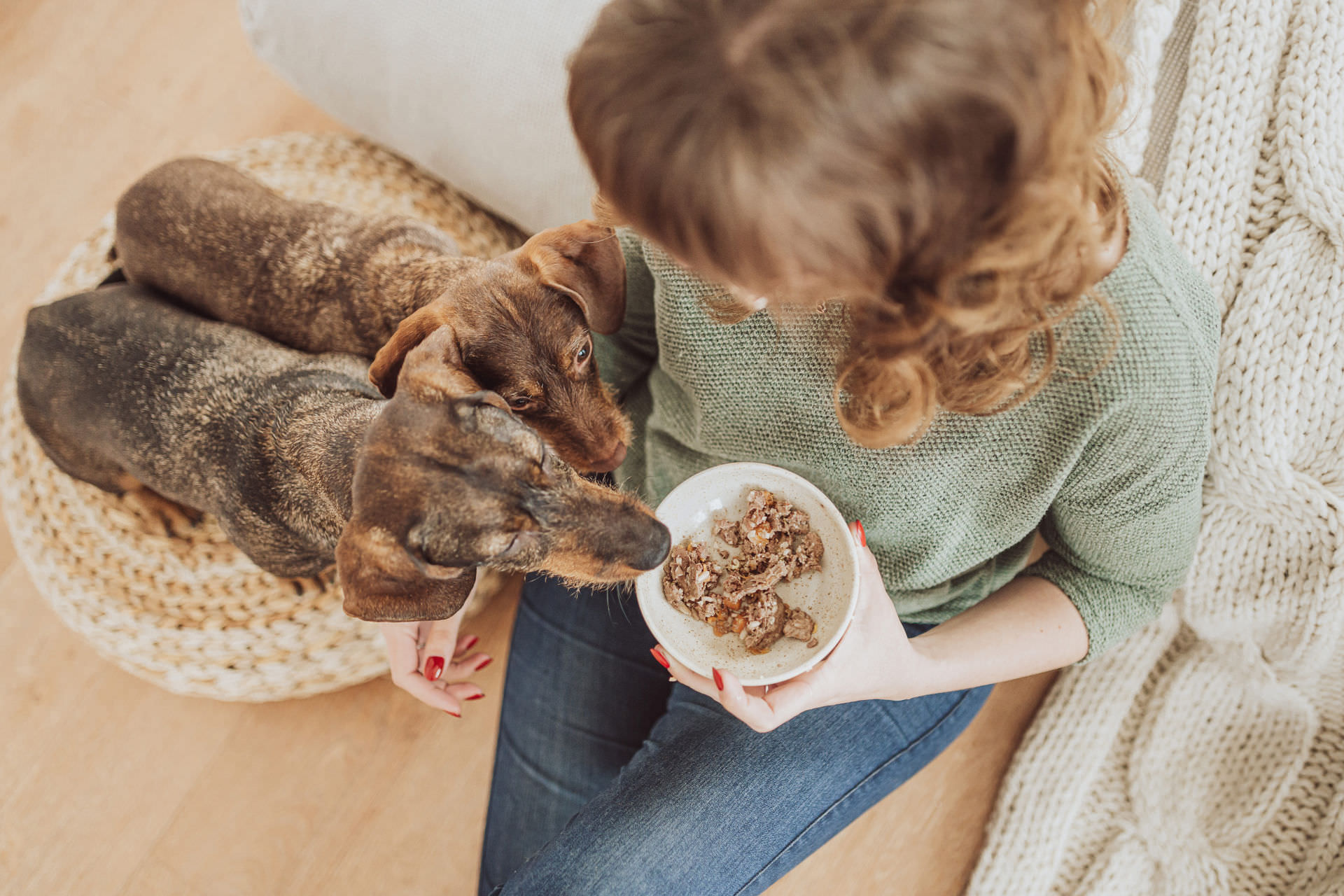 Professionelle Produktfotos für Bowells – Hundefuttermarke aus Rostock
