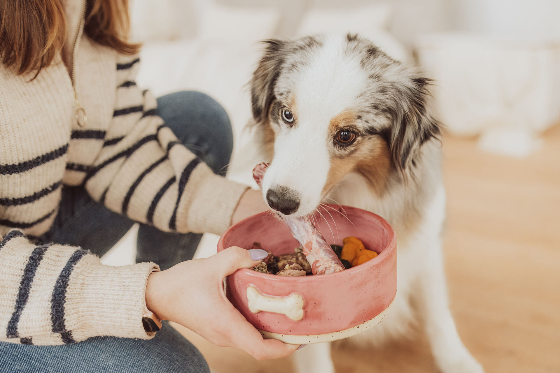 Businessfoto Hunde-Business - Hundeernährungsberatung Ostseenapf Rostock