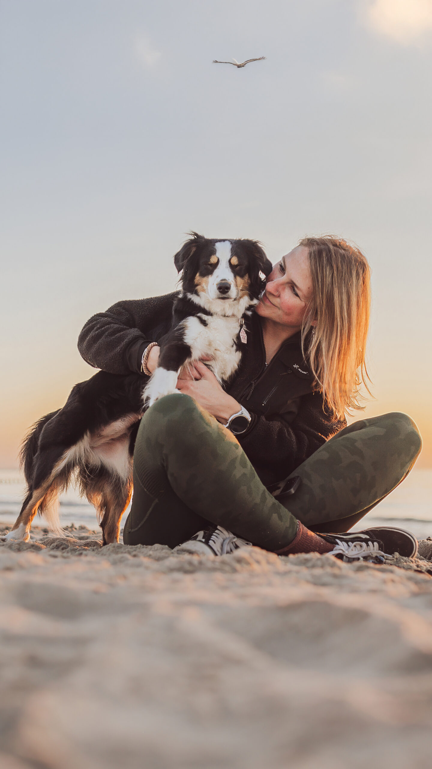 Businessfotograf-Rostock-Rike-Hundebusiness Businessfotograf Rostock - Hundebusiness