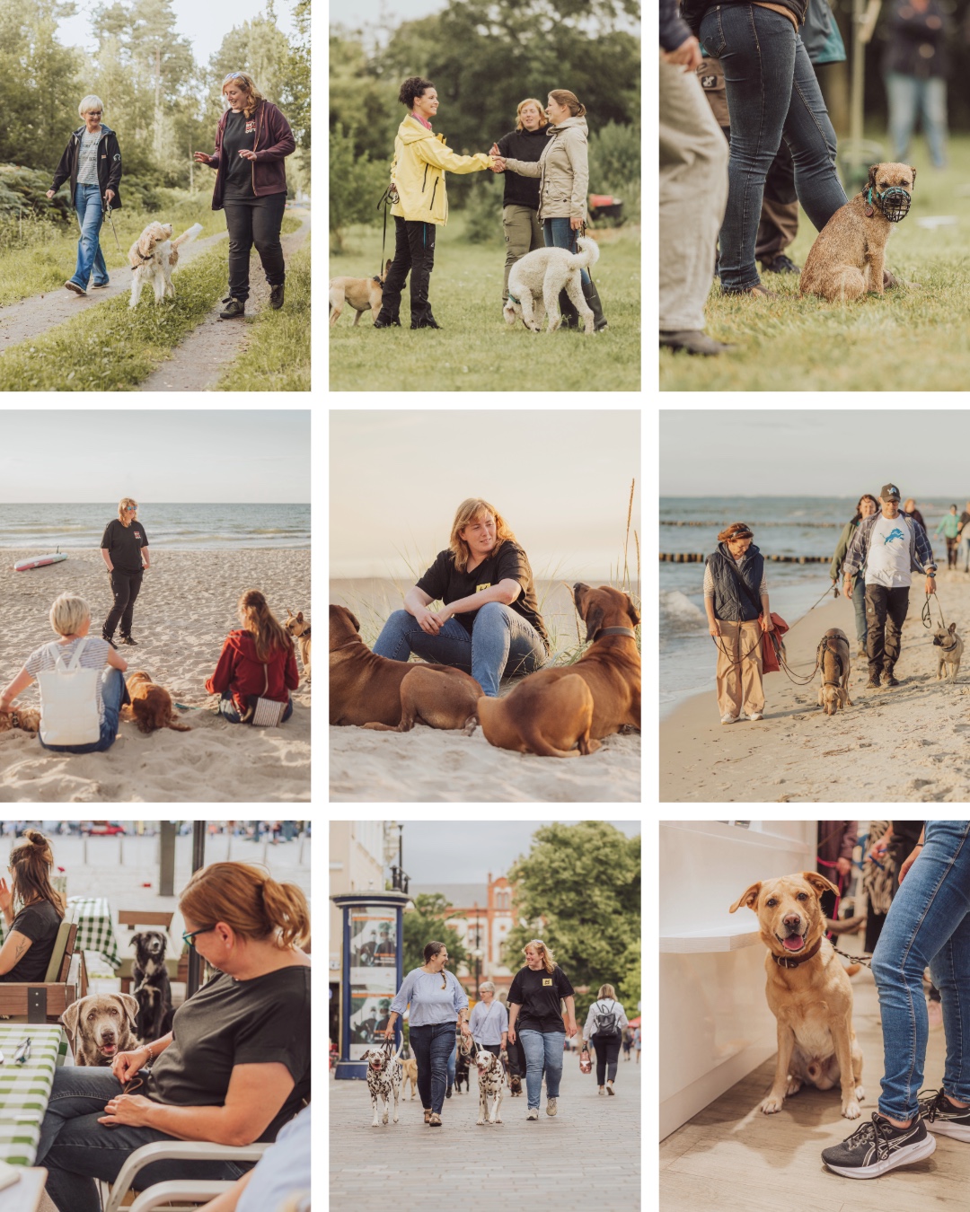 Beispiel-Feed-Instagram-Businessfotos-Rostock-Personal-Branding-Fotografie-1 Beispiel Feed nach Personal Brand Story Fotografie Rostock Hundetrainer