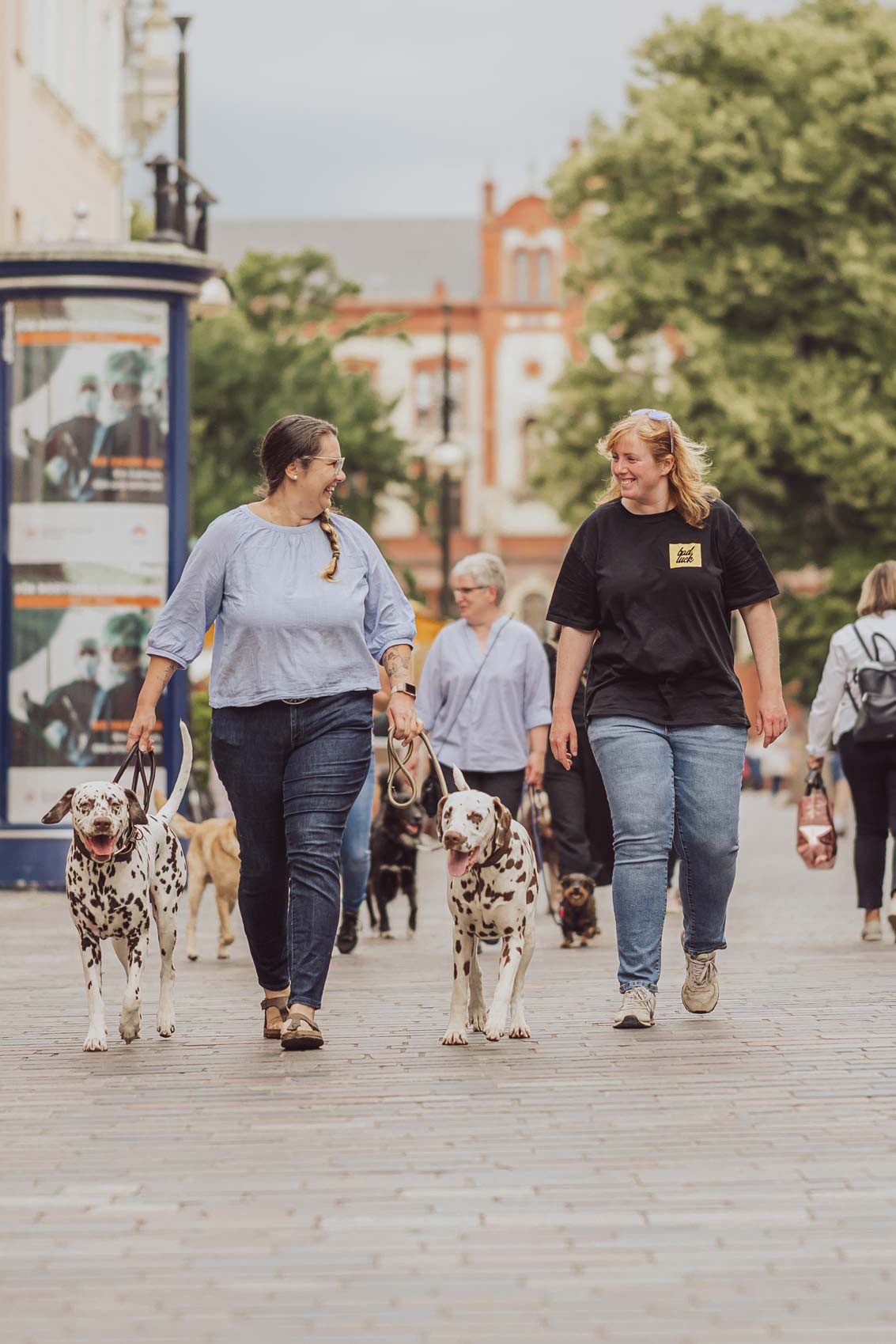 Business-Fotos-Brand-Story-Rostock-Personal-Branding-Hundetrainer Brand Story - Businessfotografie Hundetrainer Rostock