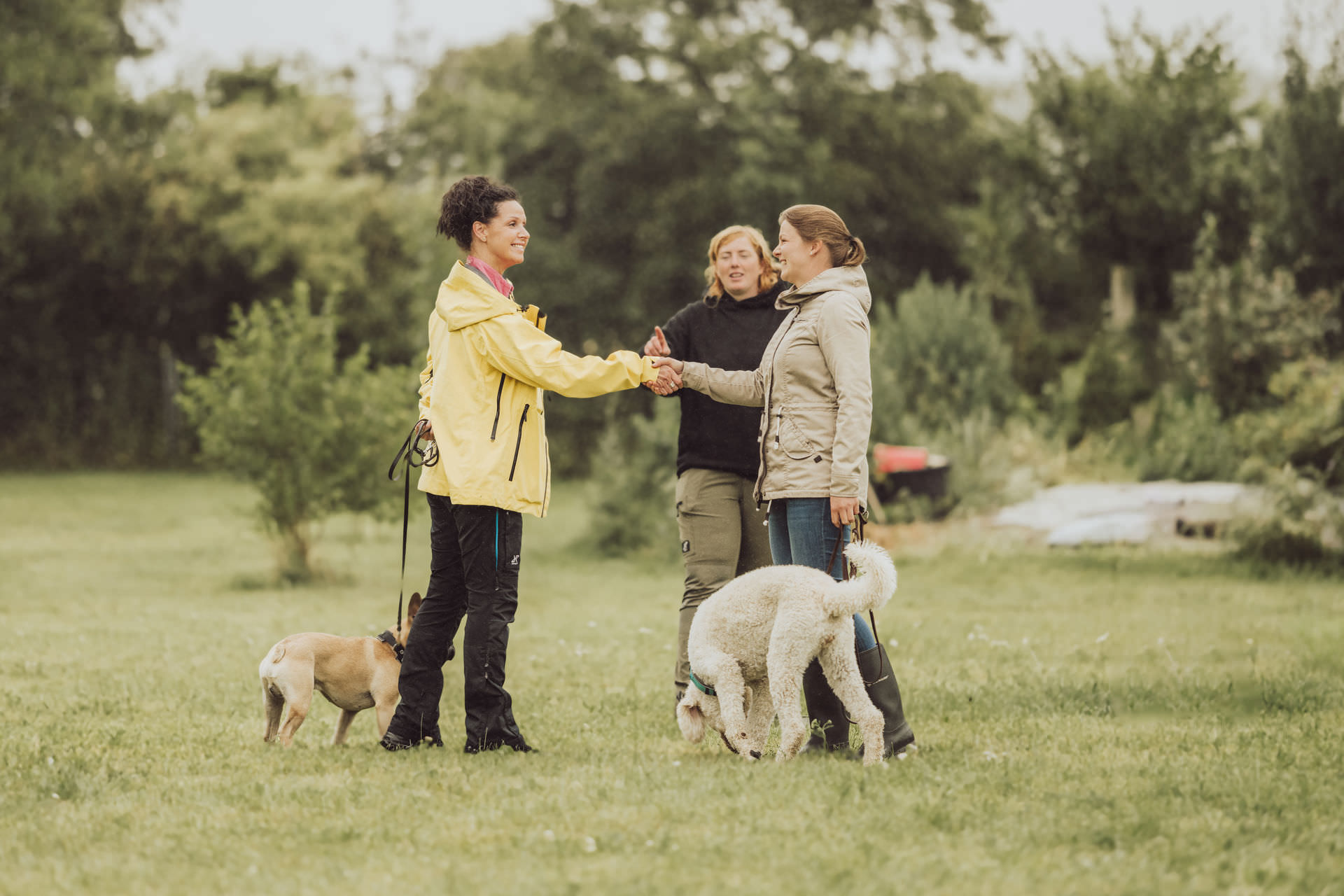 Businessfotos - Brand Story - Hundetrainer Gruppentraining