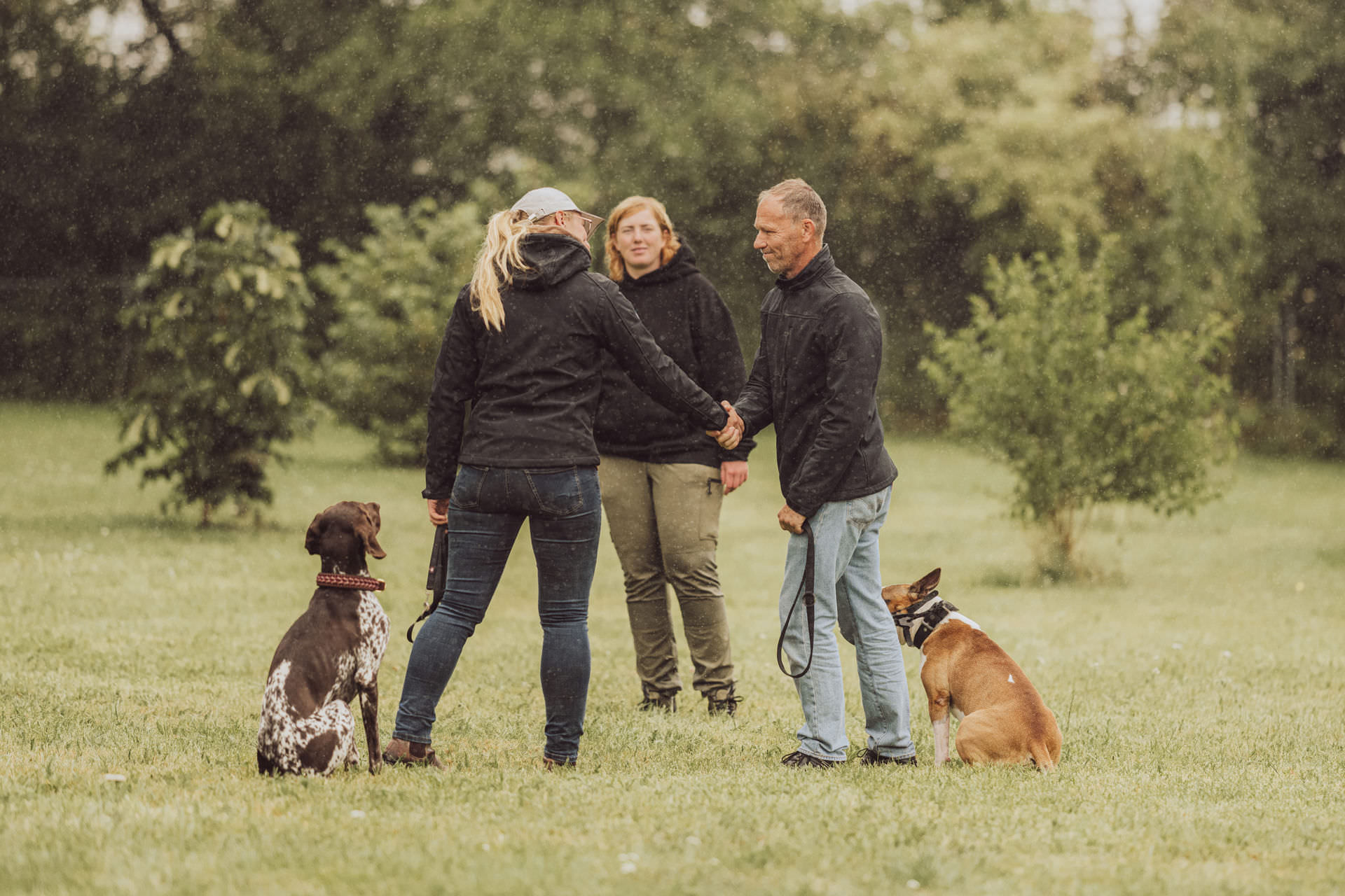 Businessfotos Hundetrainer Hundetraining Personal Branding Rostock 12