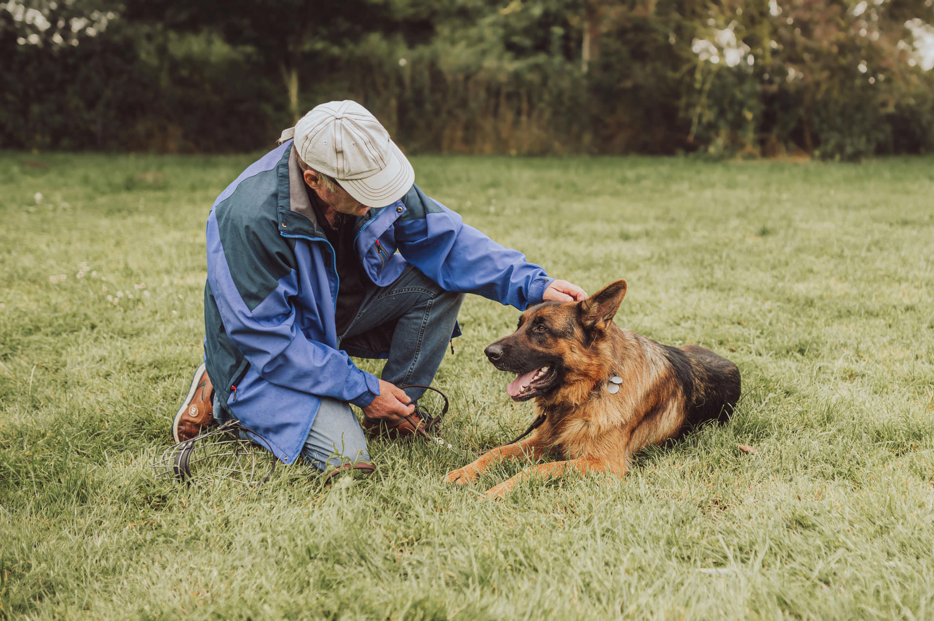 Hundetraining Businessfotos Rostock Hundefotograf