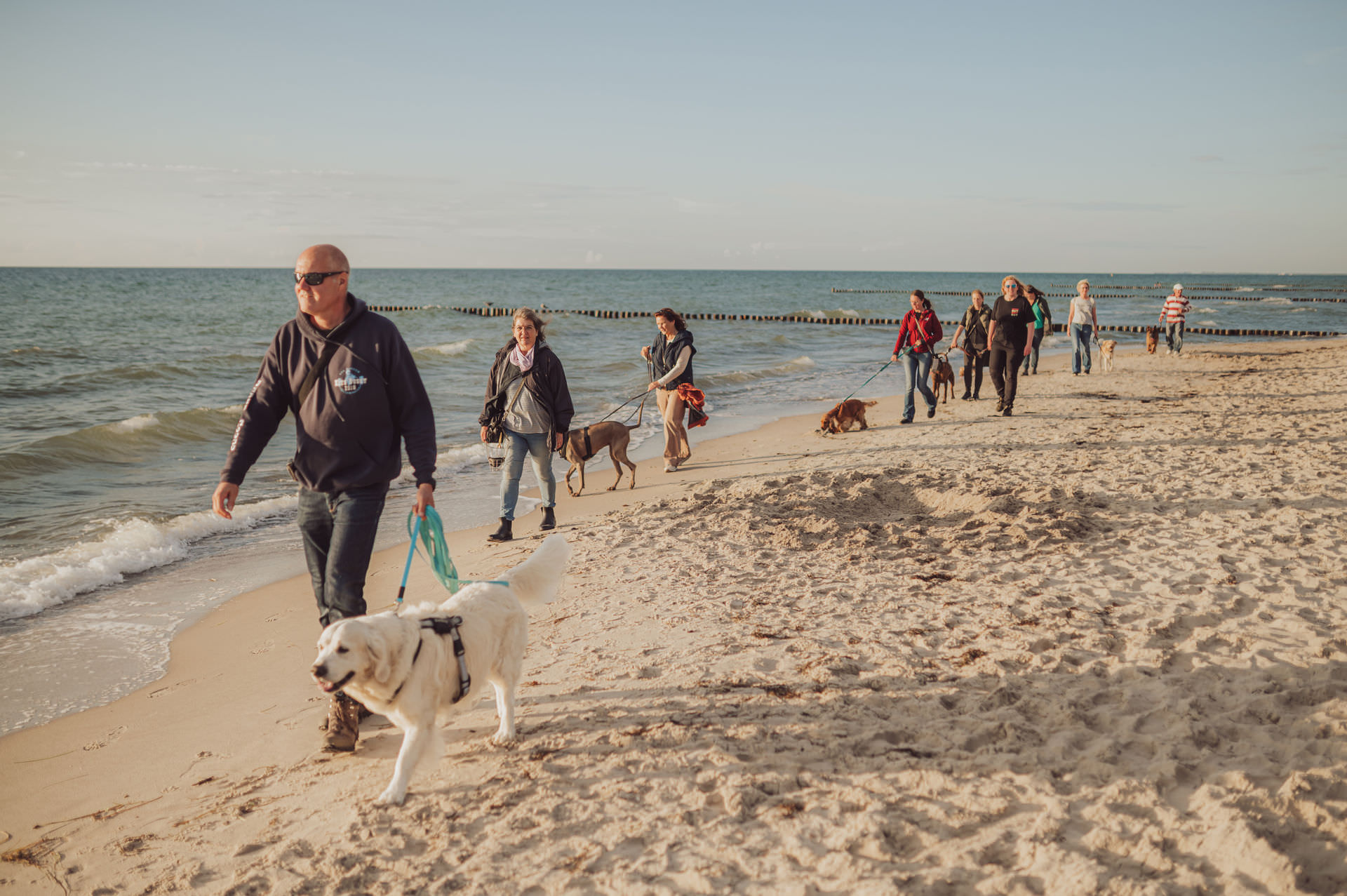 Businessfotos - Brand Story - Hundetrainer Social Walk