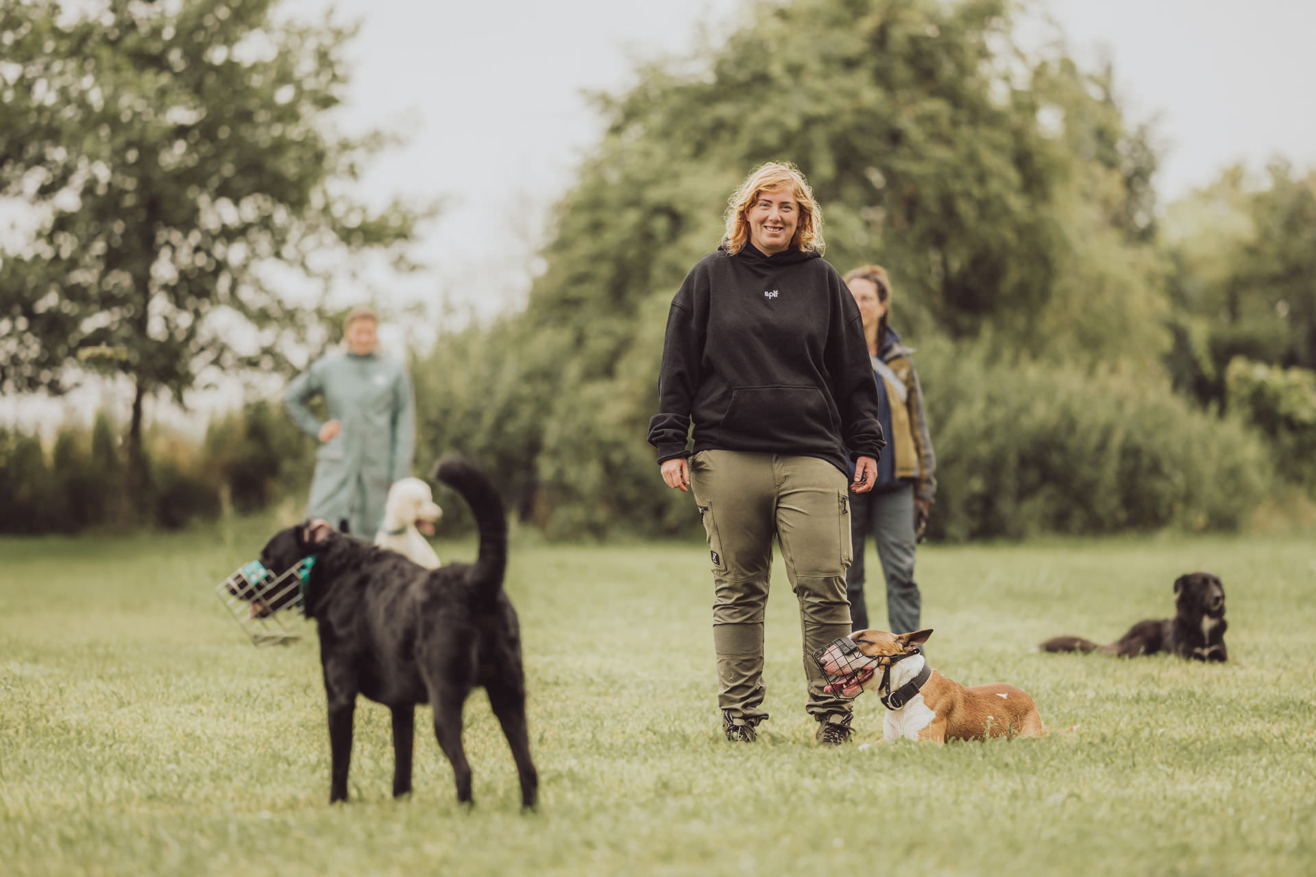 Businessfotos - Brand Story - Hundetrainer Gruppentraining