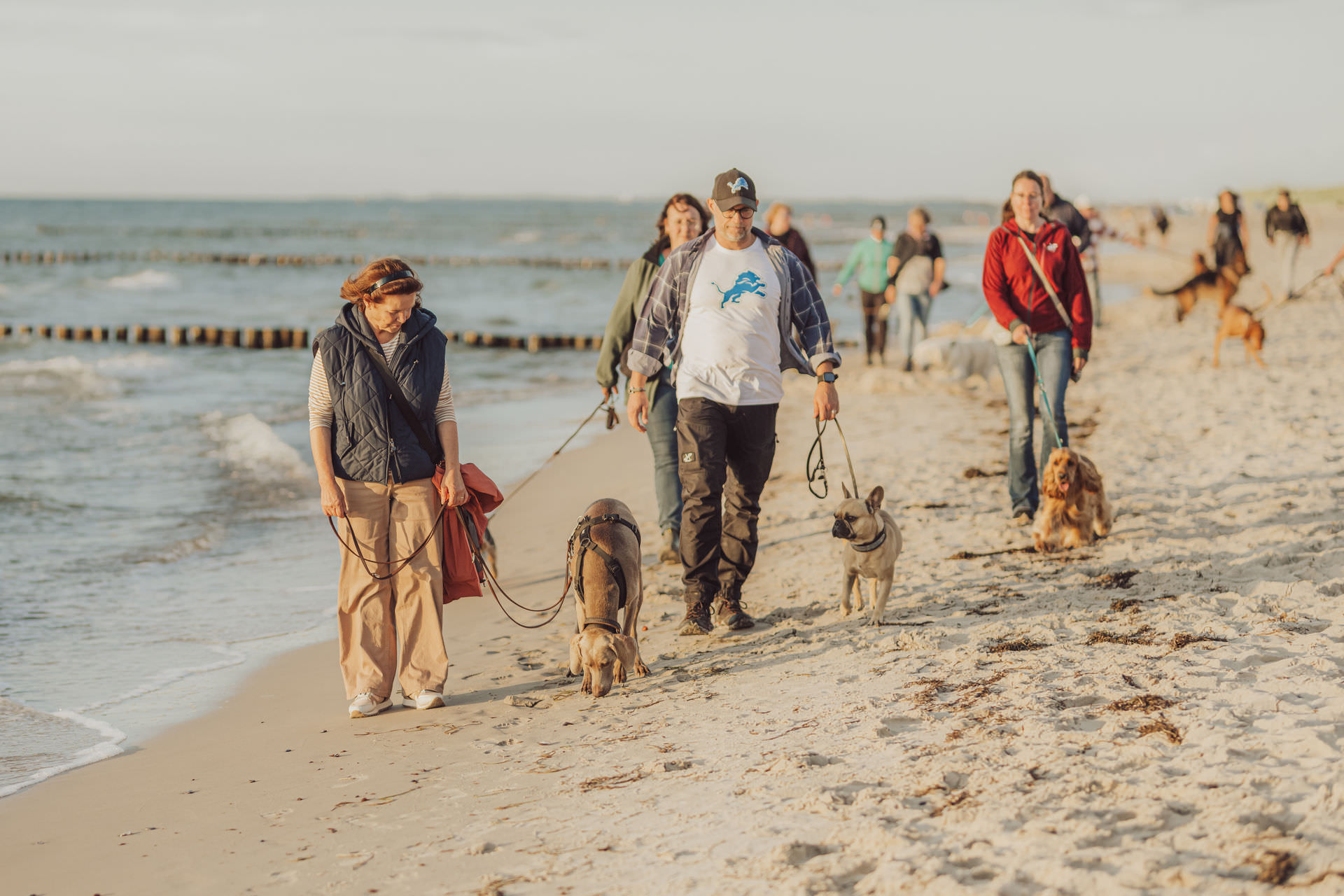 Businessfotos - Brand Story - Hundetrainer Social Walk