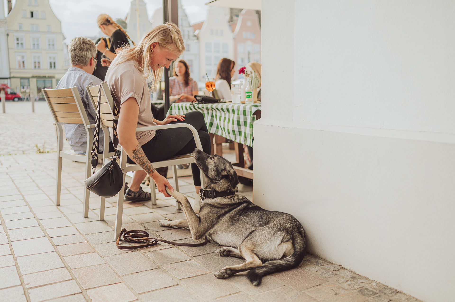 Businessfotos - Brand Story - Hundetrainer Alltagstraining