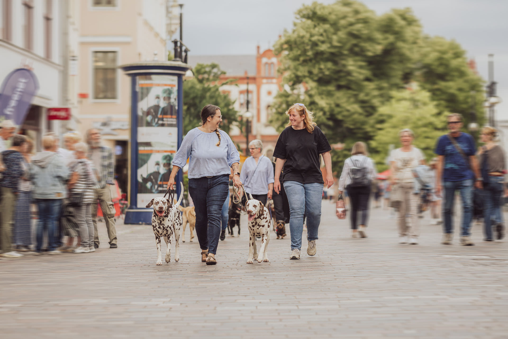 Businessfotos-Hundetrainer-Hundetraining-Personal-Branding-Rostock-39 Hundetraining Bagaluten Hunde - Businessfotos Rostock