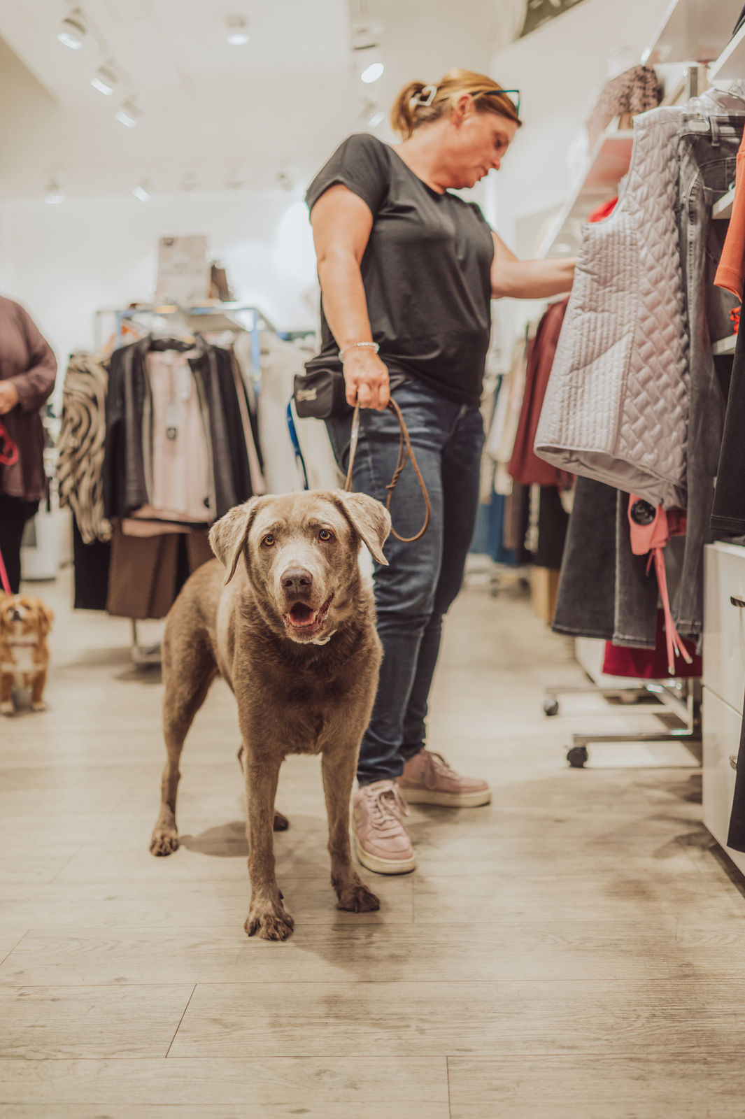 Businessfotos - Brand Story - Hundetrainer Alltagstraining