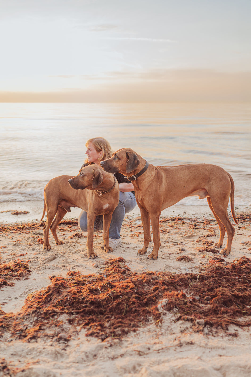 Businessfotos - Brand Story - Hundetrainer Personal Branding