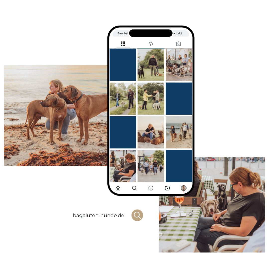 Beispiel Feed nach Personal Brand Story Fotografie Rostock Hundetrainer
