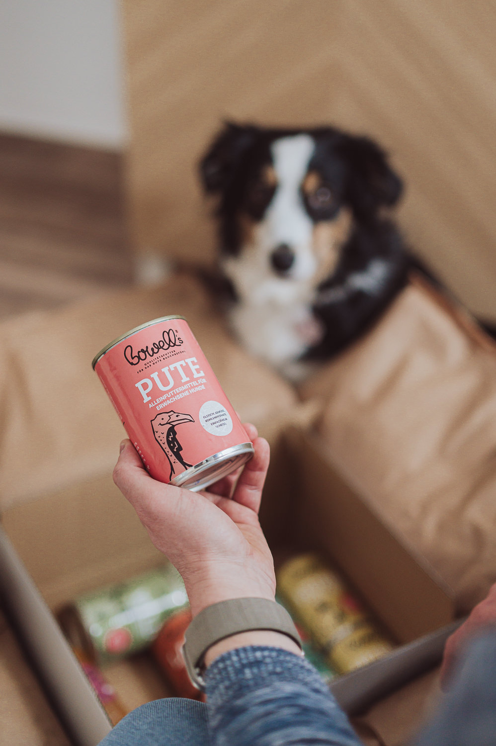 Businessfotos Tierbusiness - Hundefutter