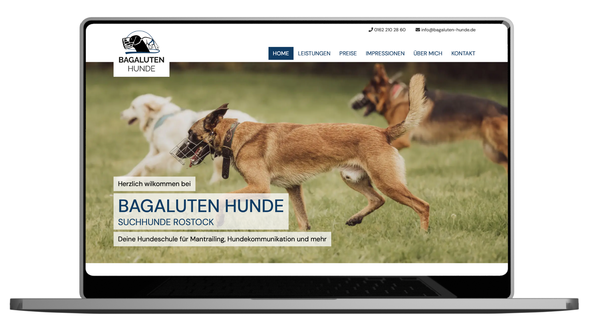 Referenzen Businessfotos für B2B Unternehmen fürs Tier - Hundetrainer