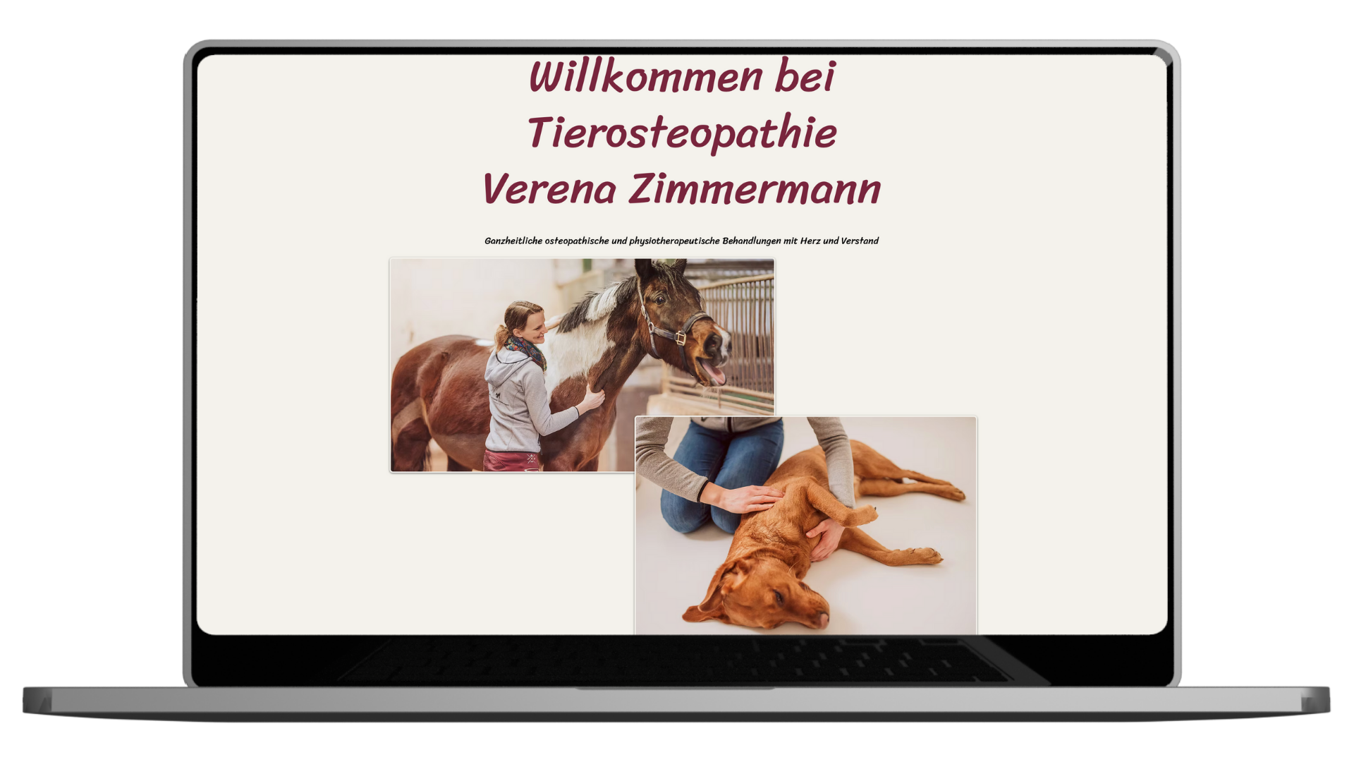 Referenzen Businessfotos für B2B Unternehmen fürs Tier - Tierosteopathie