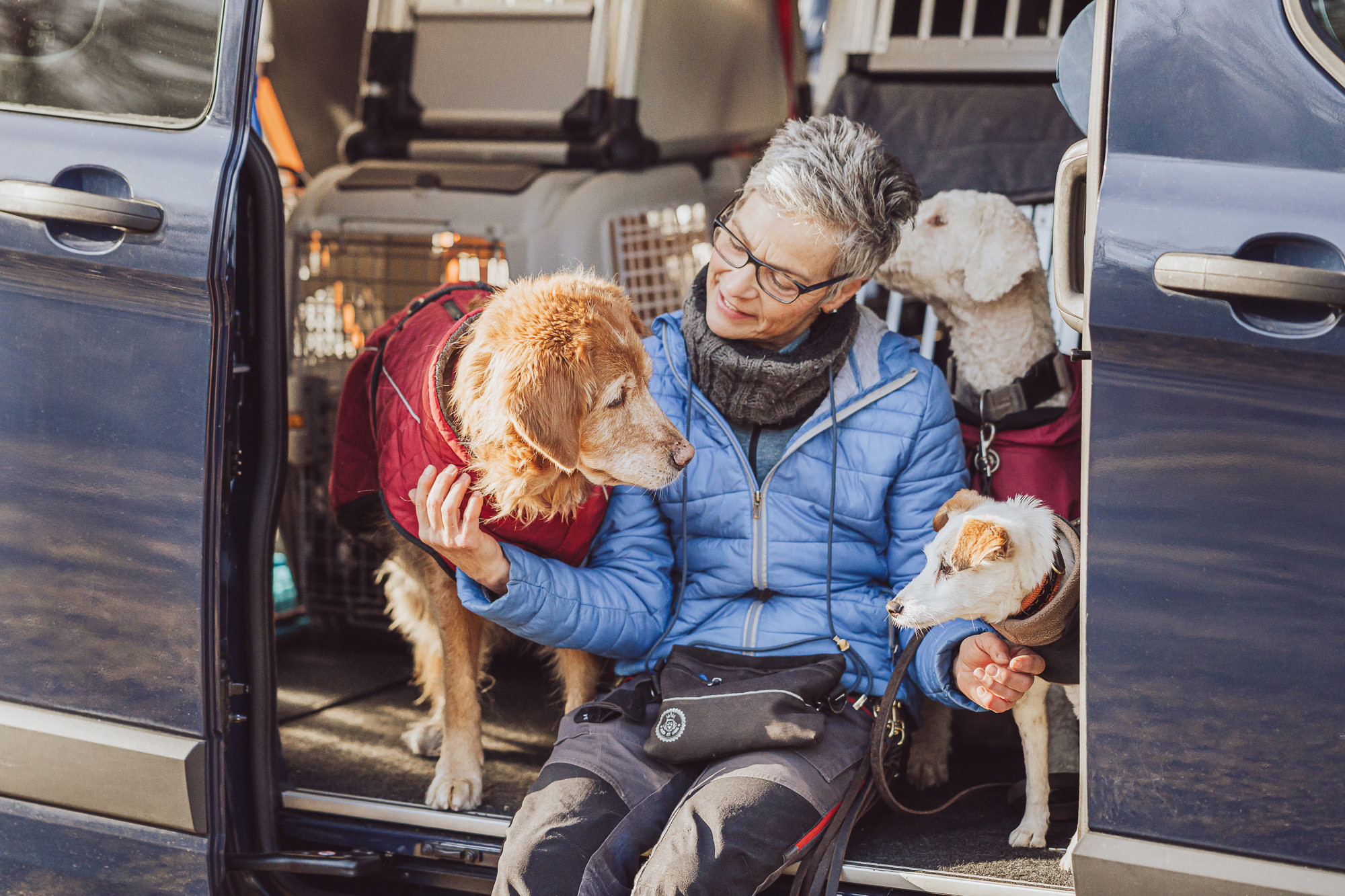 Unternehmensreportage Hunde - Dogwalker Rostock -Businessfotos