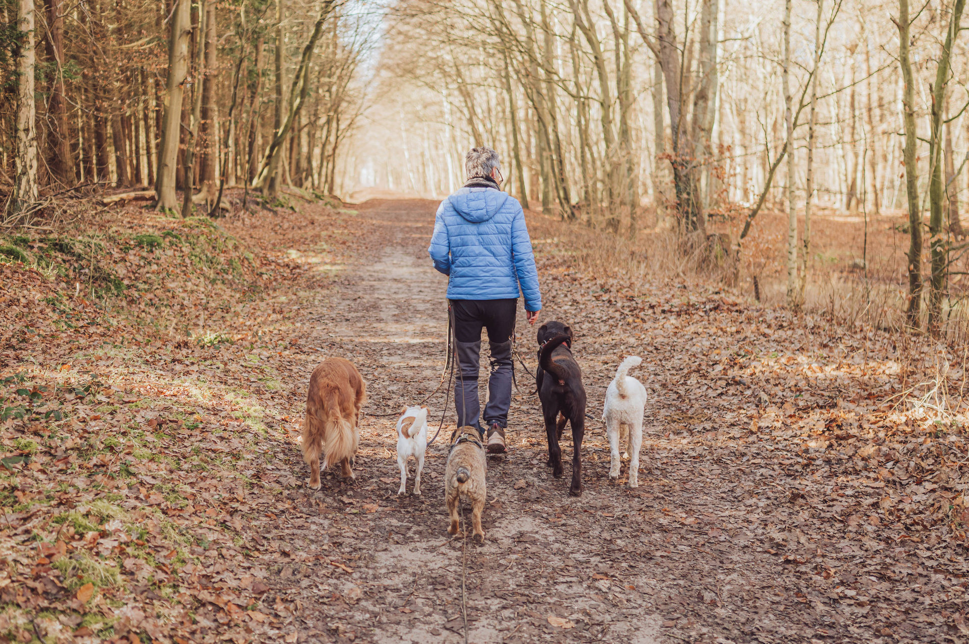 Businessfotos Dogwalkerin Rostock Anke 10