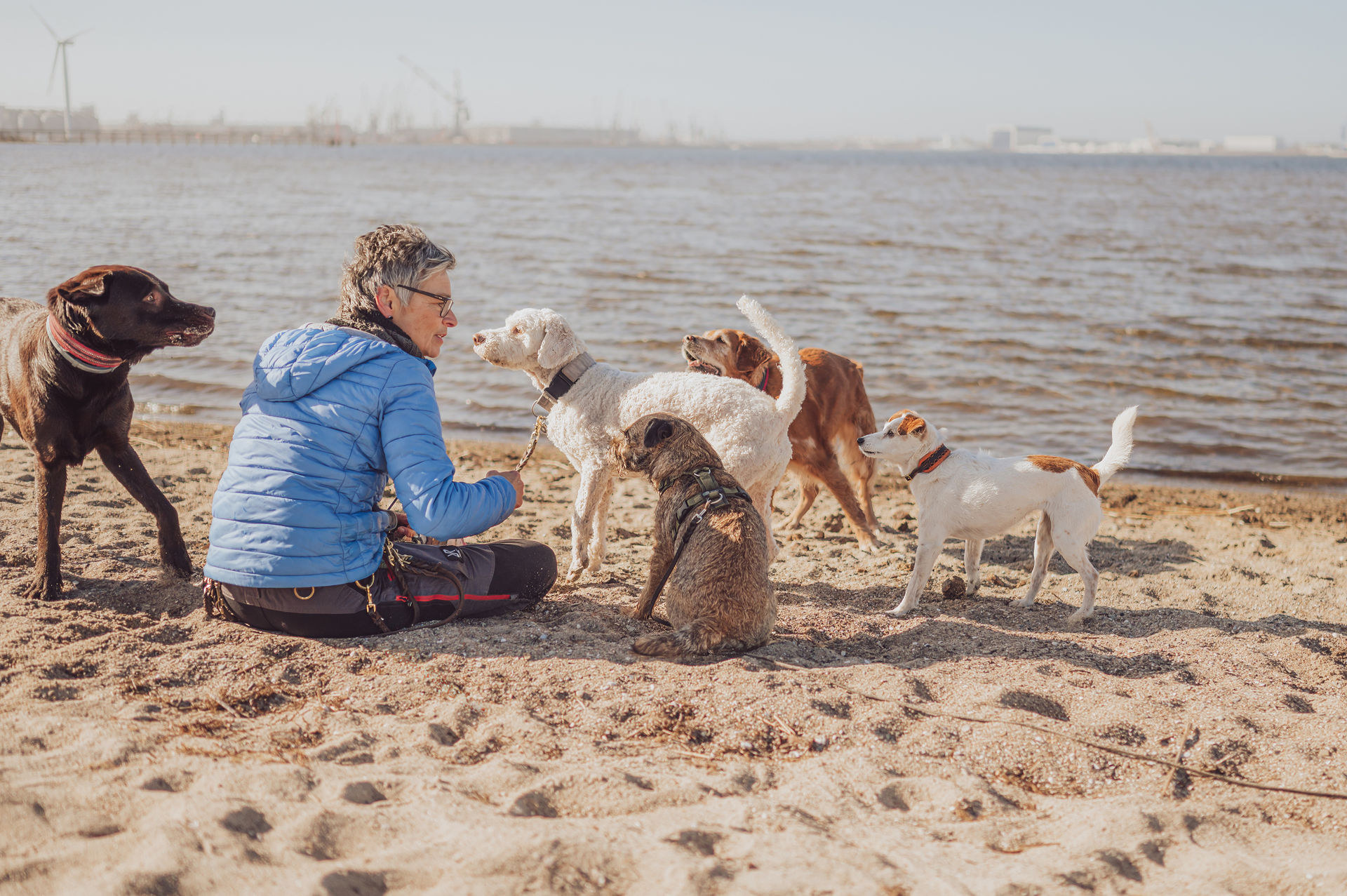 Anke sitzt am Strand Rostock mit Hunden Wasser Hafen im Hintergrund Leinenlos