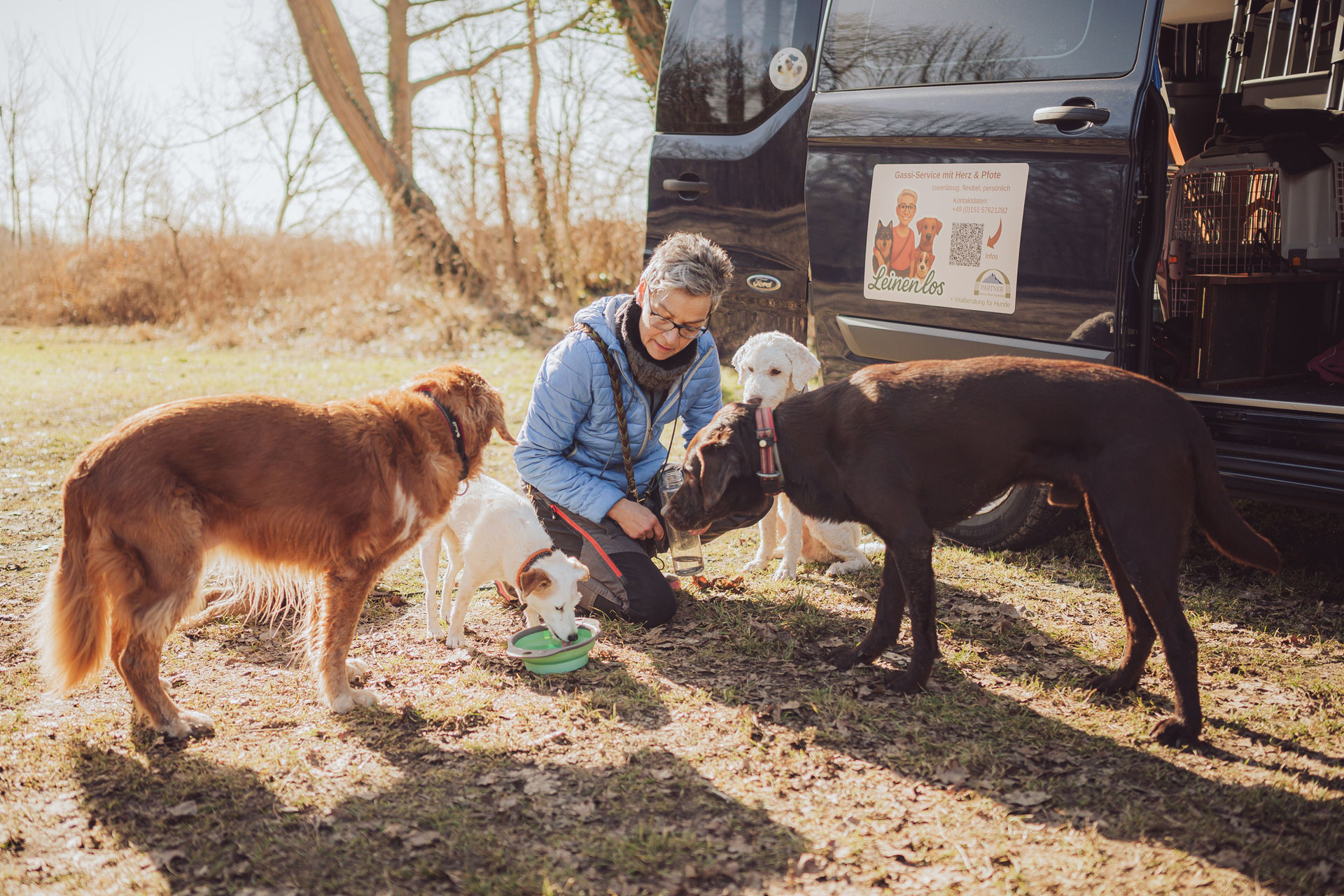 Anke gibt Hunden Wasser an Leinenlos Transporter Gassi Service Rostock Businessfoto