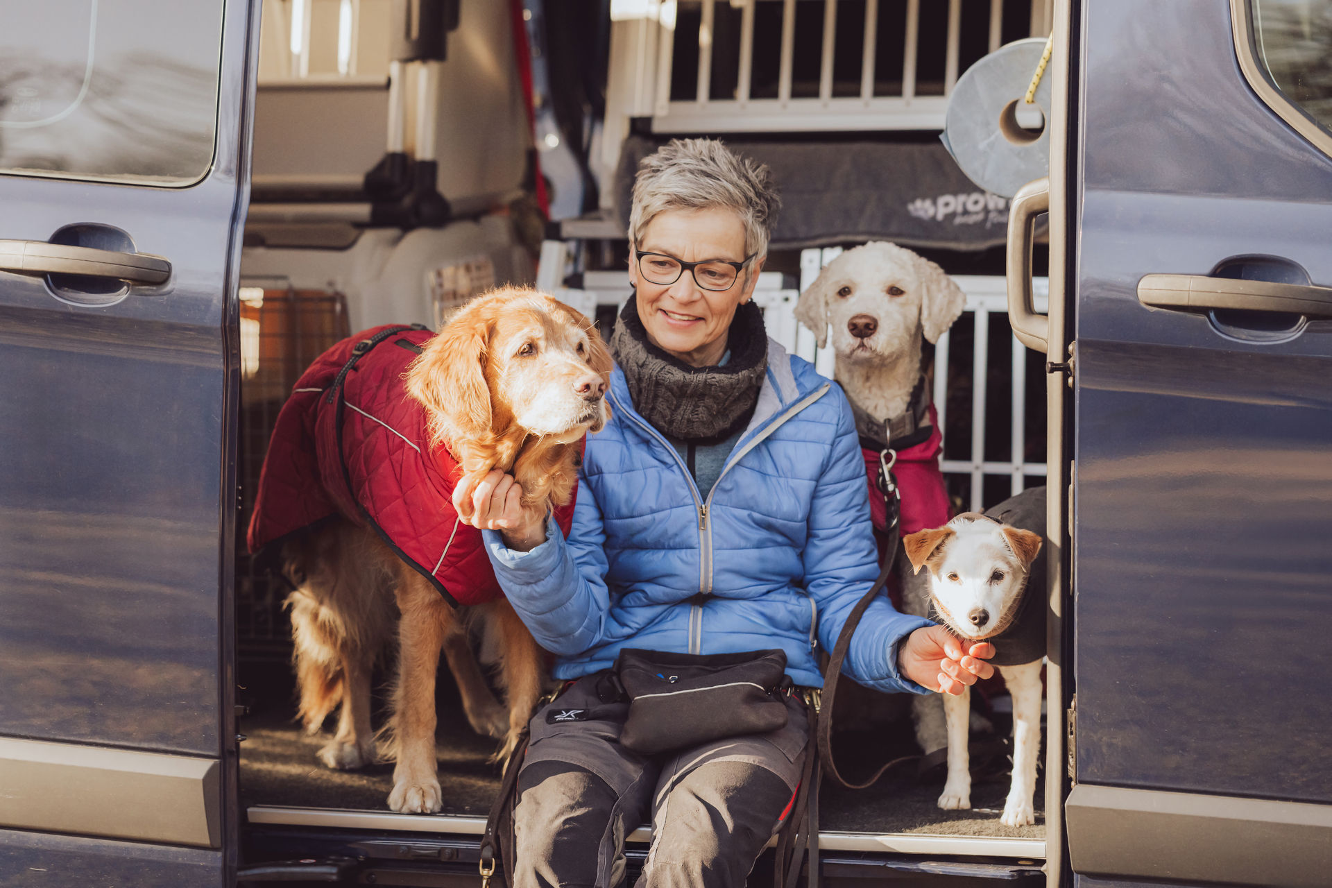 Anke sitzt im geoeffneten Leinenlos Transporter mit Hunden Rostock Businessfoto