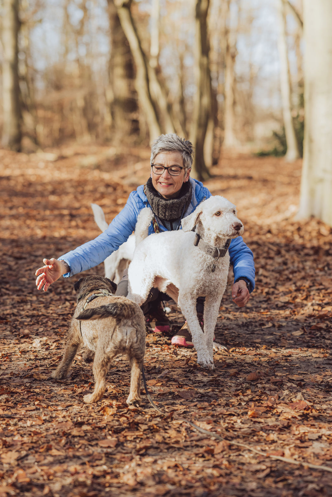 Anke kniet im Herbstwald mit Hunden Leinenlos Rostock Portrait Businessfoto