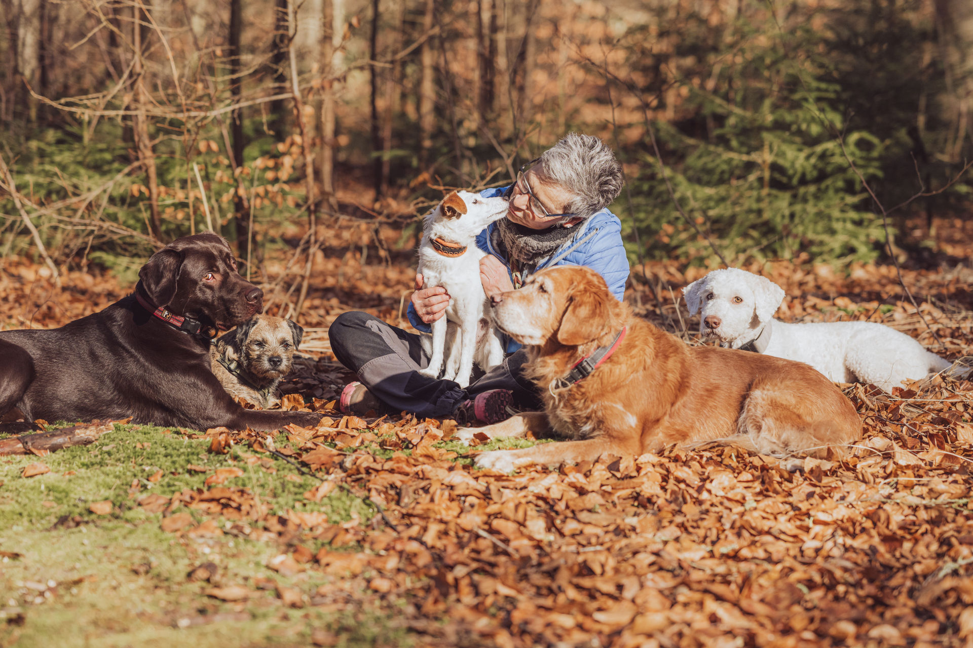 Businessfotos Dogwalkerin Rostock Anke 8