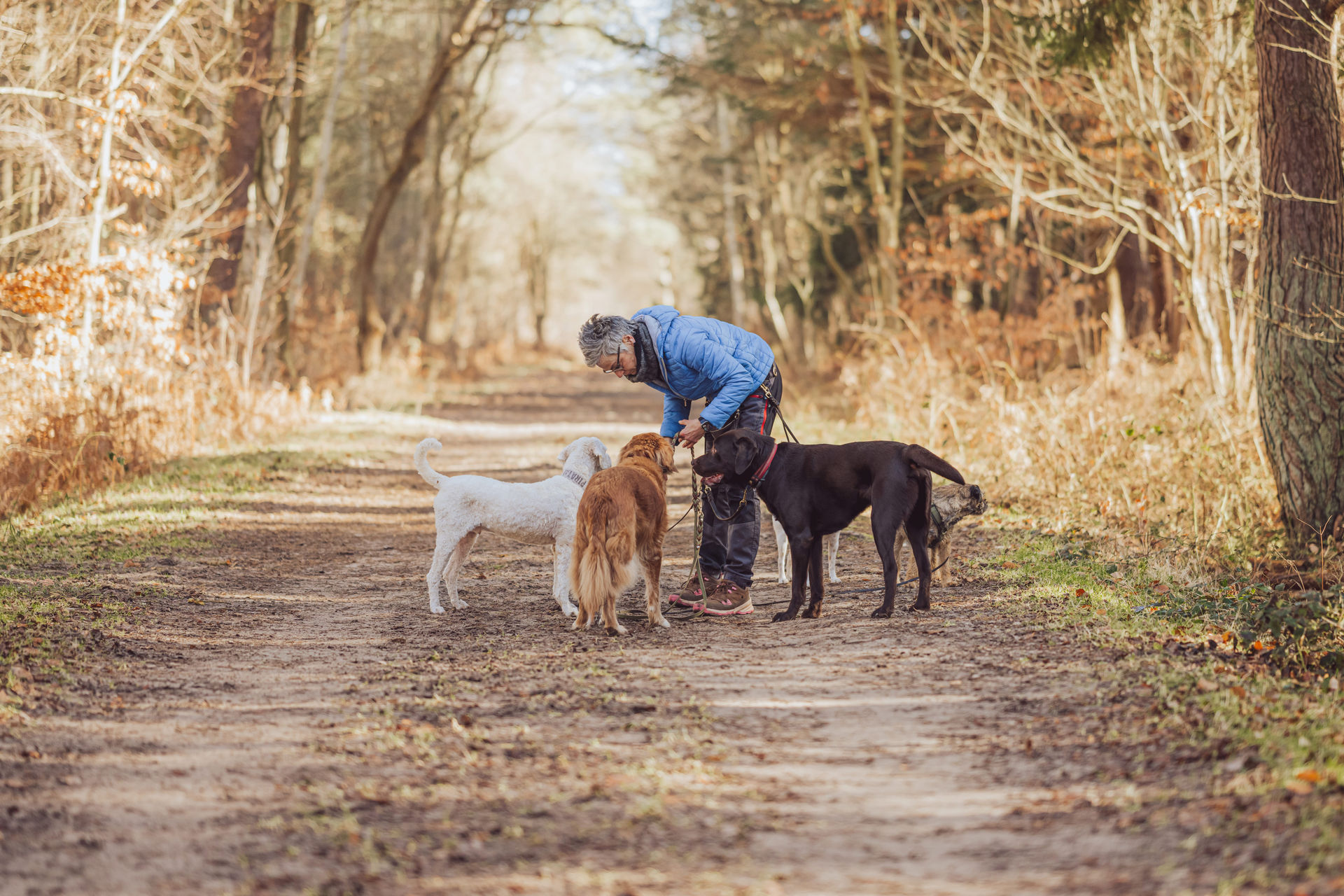 Businessfotos Dogwalkerin Rostock Anke 9