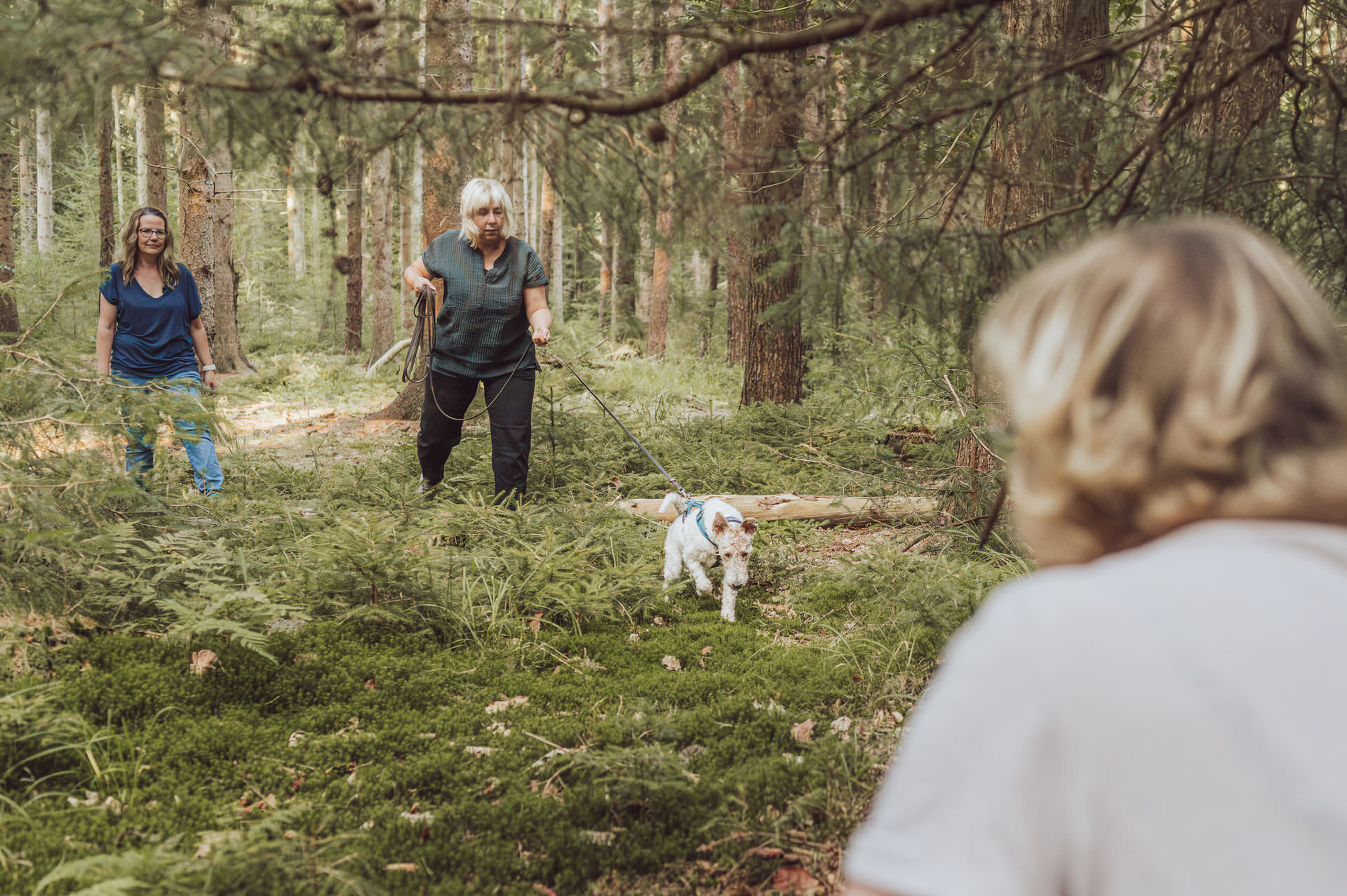Businessfotografie Hundetrainerin Mantrailing Rostock Andrea Portrait Unternehmensreportage Hund