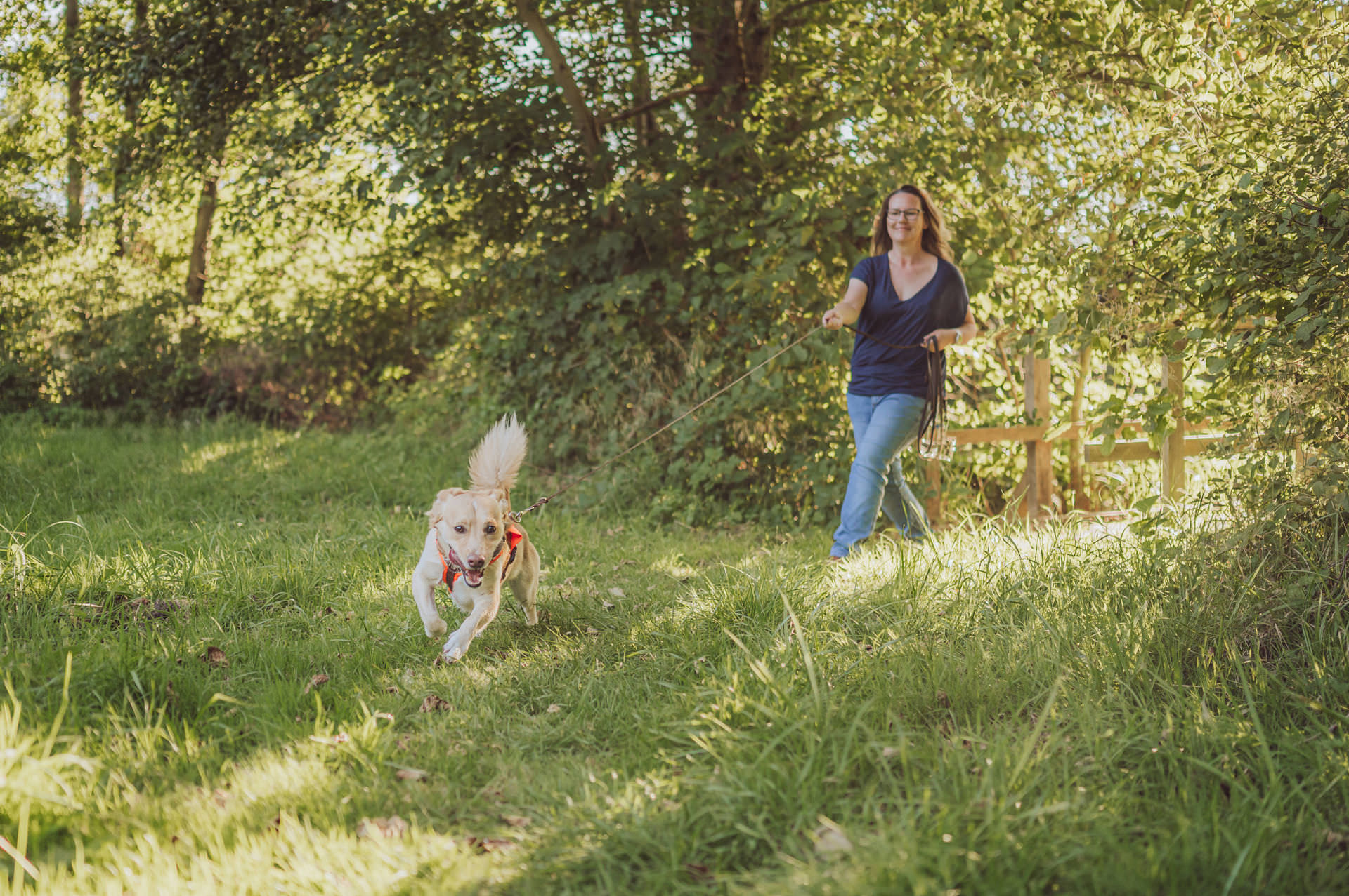 Businessfotos Fotograf Unternehmensreportage Hundetrainer Mantrailing 11