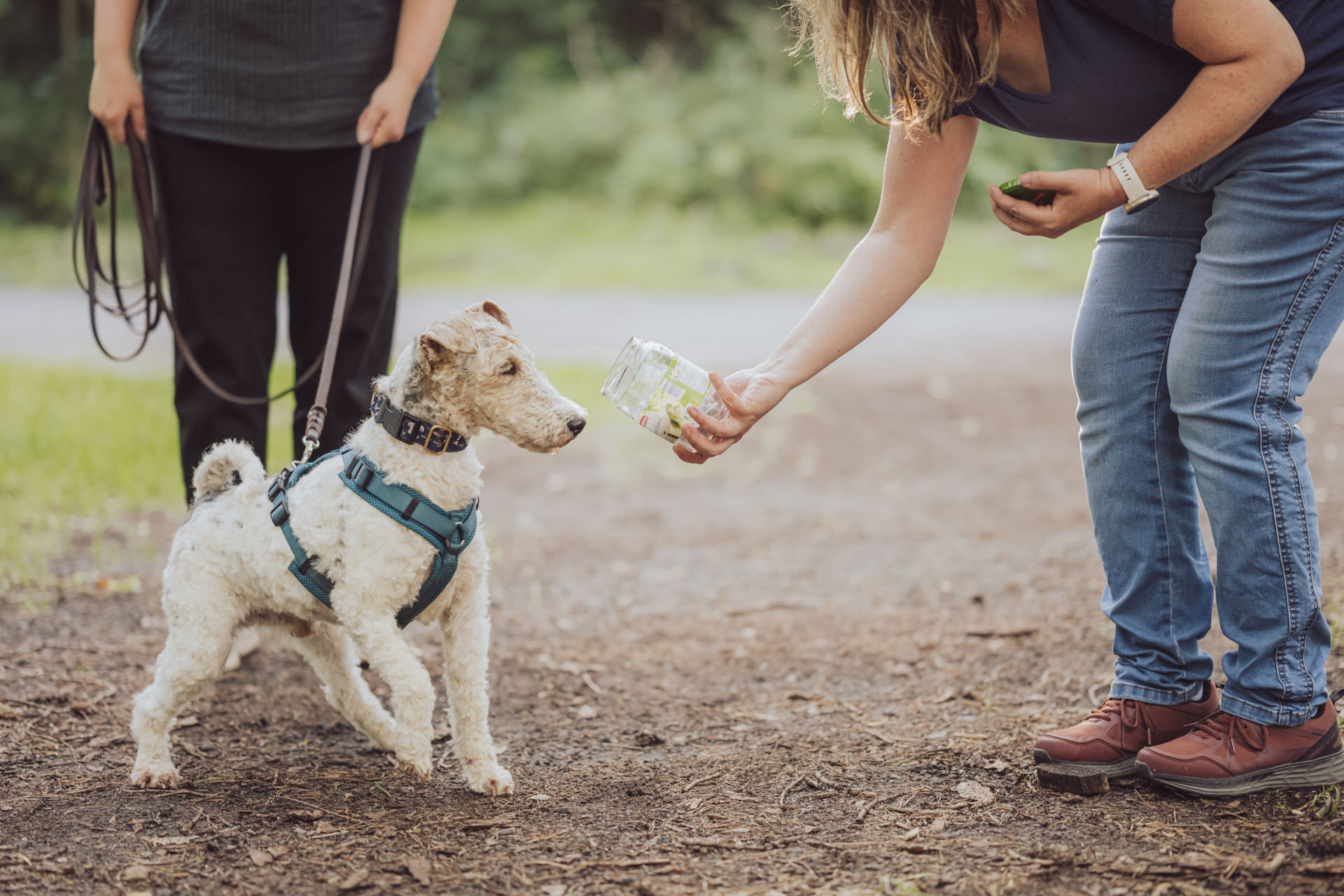 Businessfotos Fotograf Unternehmensreportage Hundetrainer Mantrailing 15