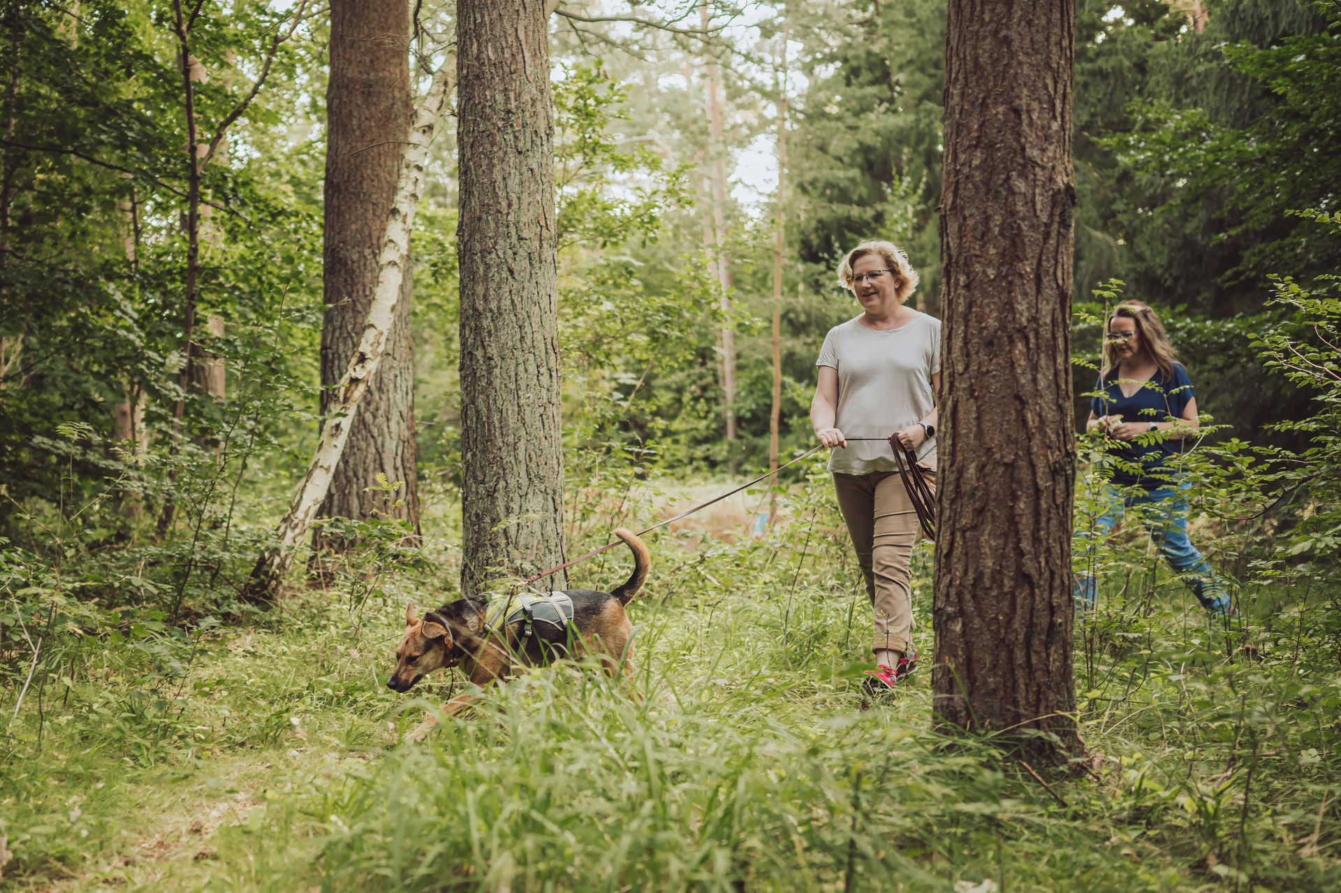 Mantrailing Rostock Wald Teilnehmerin mit Hund auf Fährte Waldweg Natur