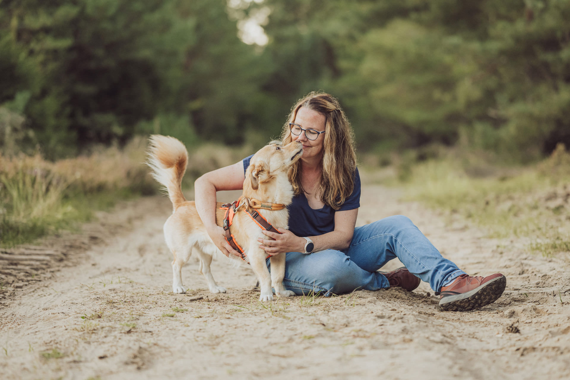 Bruno Mischling Suchhund Mantrailing Rostock Portrait Sandboden strahlt