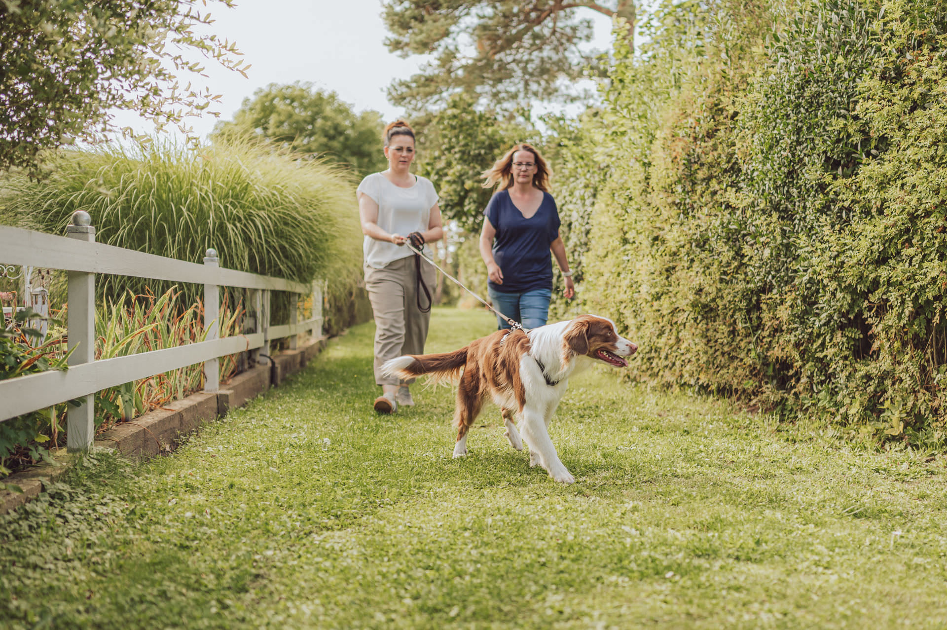 Mantrailing Kurs Rostock Teilnehmerinnen rennen mit Hund Spaniel Mix Garten Action