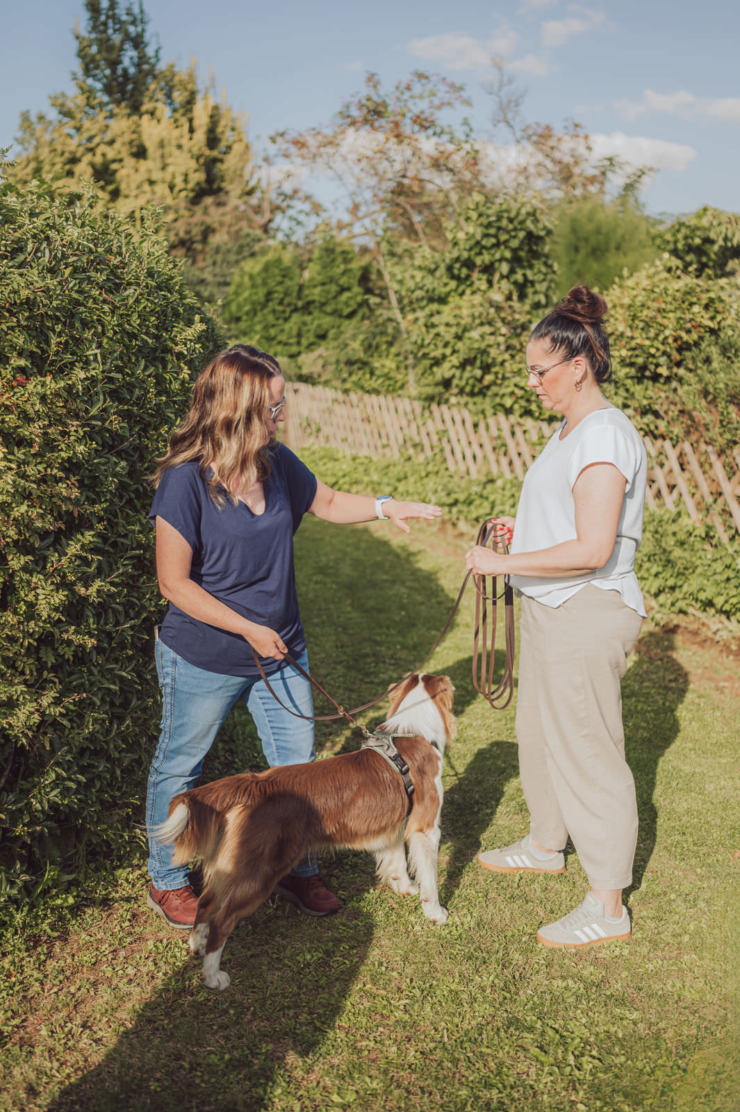 Businessfotos Fotograf Unternehmensreportage Hundetrainer Mantrailing 5