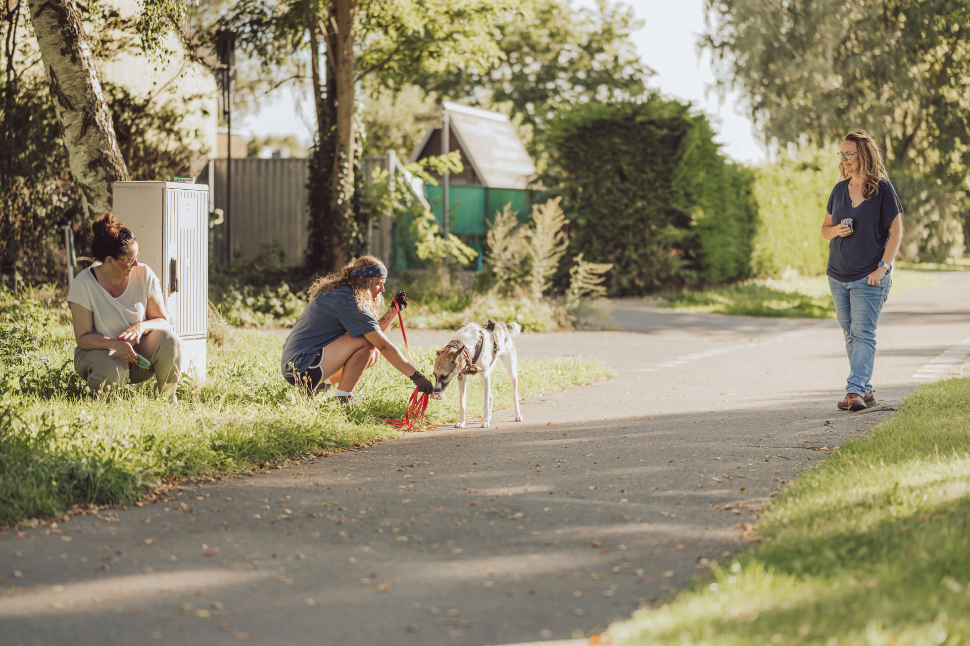 Businessfotos Fotograf Unternehmensreportage Hundetrainer Mantrailing 8