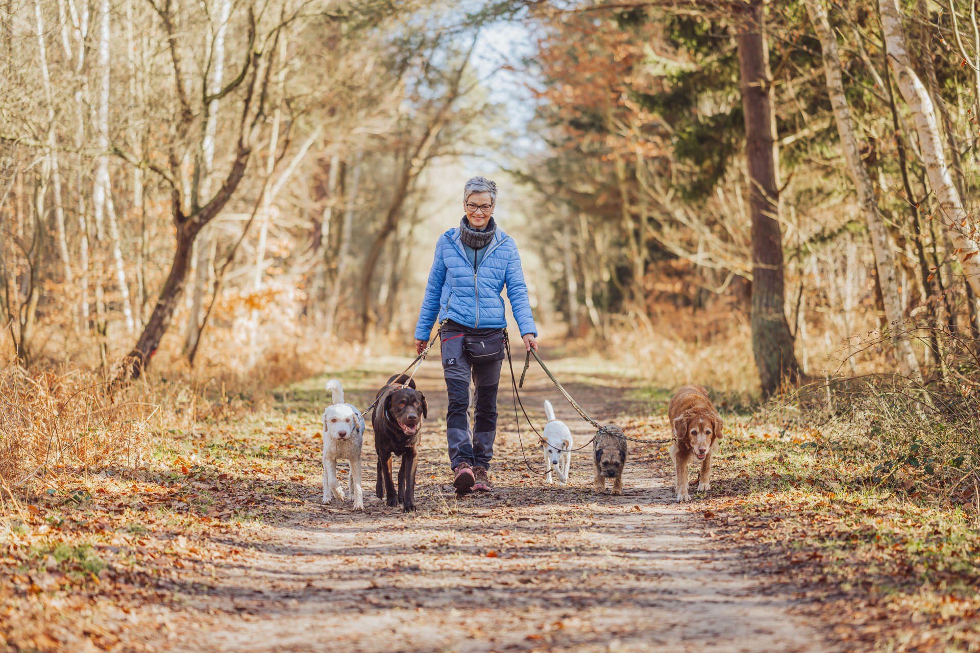 Businessfotograf Rostock - Dogwalker