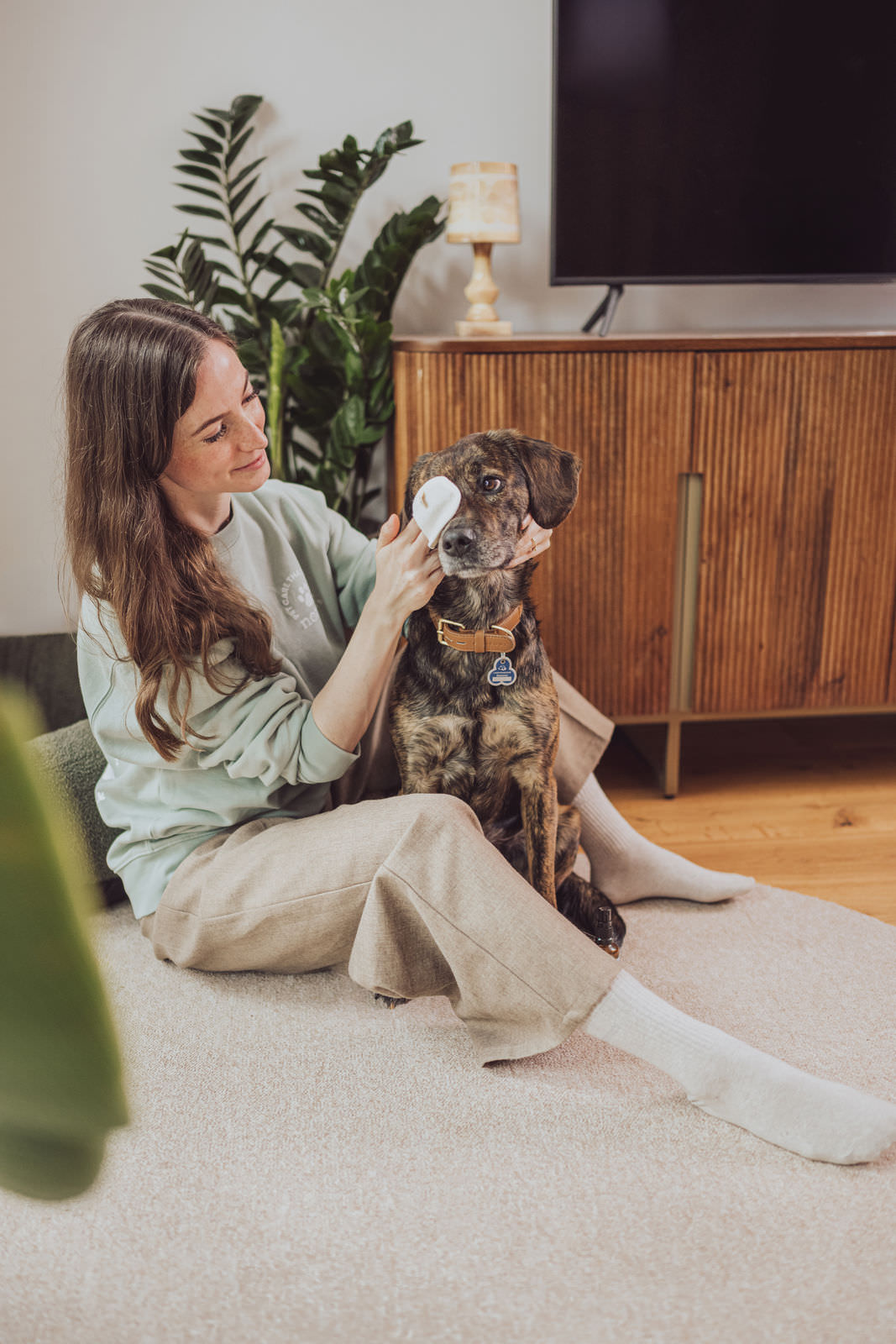 noms+ Augenpflege Hund Sunna Wohnzimmer Pflege Portrait