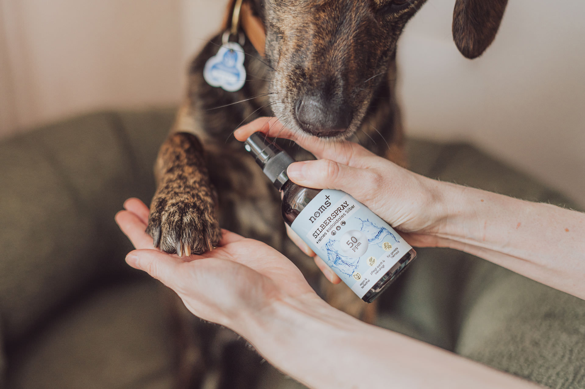 noms+ Produktfotografie Hannover Sunna Küche Dental Mix Nahrungsergaenzung Hund