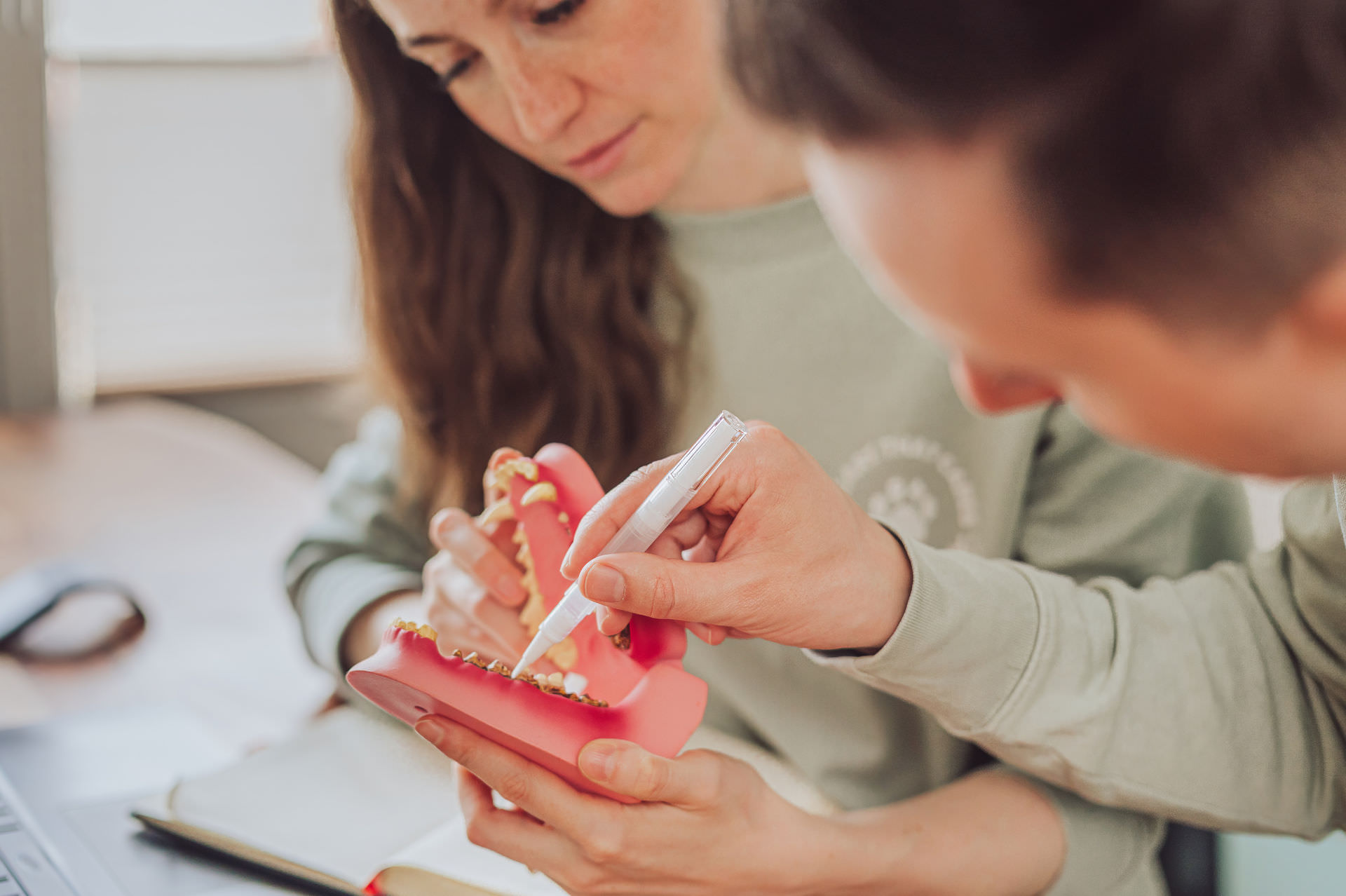 noms+ Produktfotografie Hannover Sunna Küche Dental Mix Nahrungsergaenzung Hund