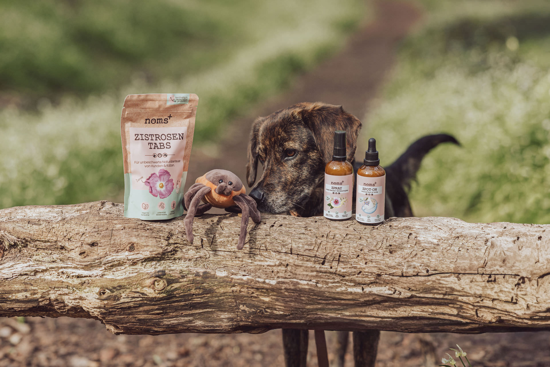 noms+ Produktfotografie Hannover Sunna Küche Dental Mix Nahrungsergaenzung Hund