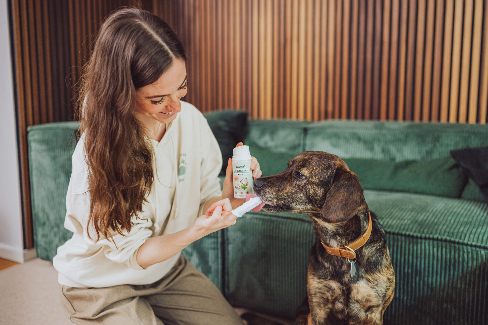 noms+ Z-Produkte Zistrosen Tabs Z-Spray Hund Wald Outdoor Produktfotografie Hannover