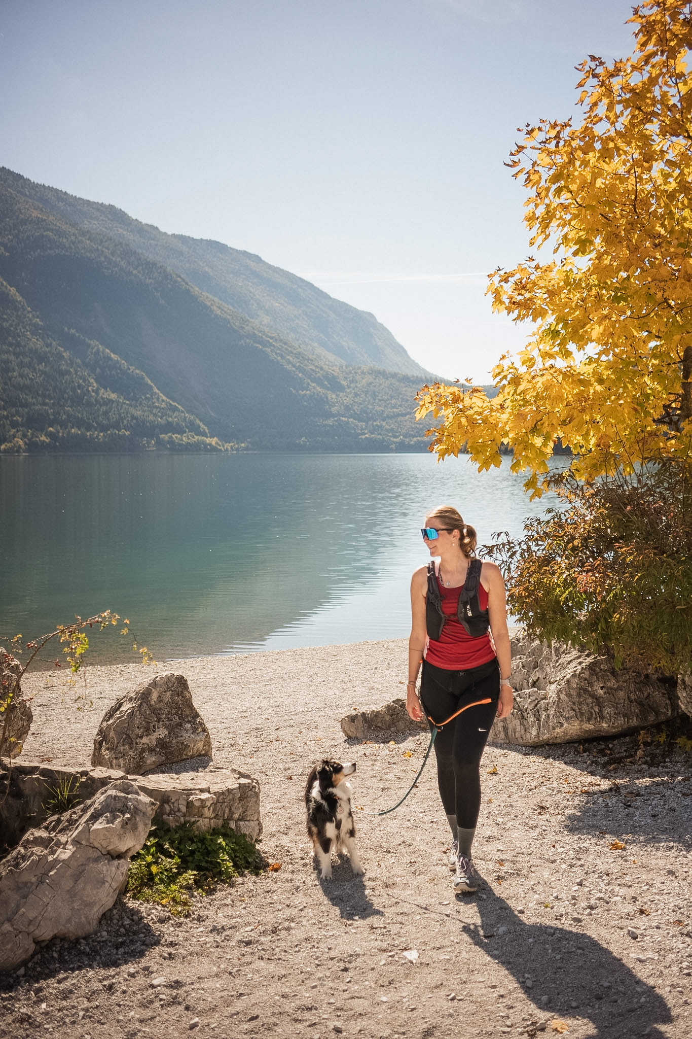 UGC Creator - Reisen & Travel mit Hund