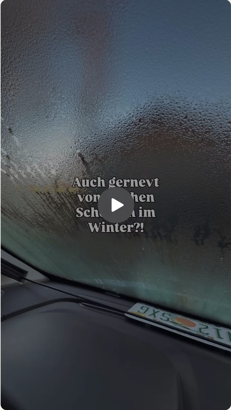 UGC Creator Travel, Vanlife und Hunde 8 UGC Creator Camper Vanlife Hund Fotografie Videografie Reels1