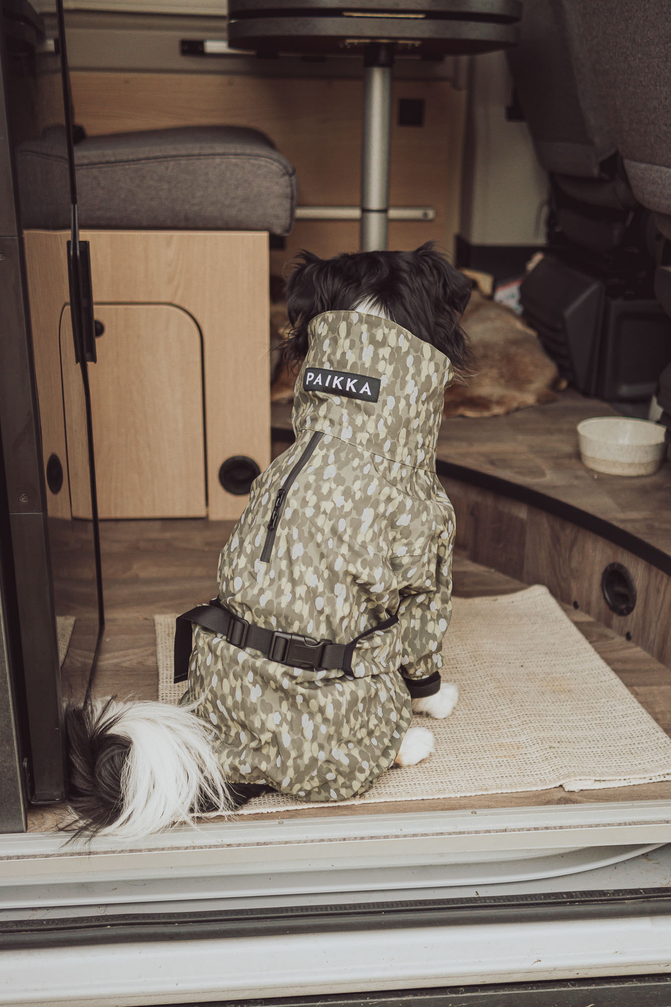 Content Kreation Hundemantel Paikka