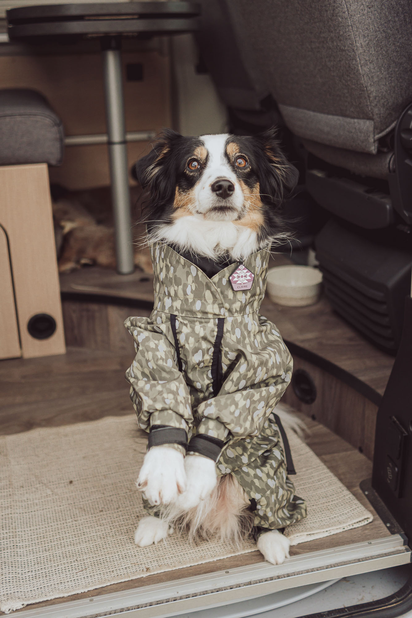 UGC Content Kreation Hundemantel Paikka