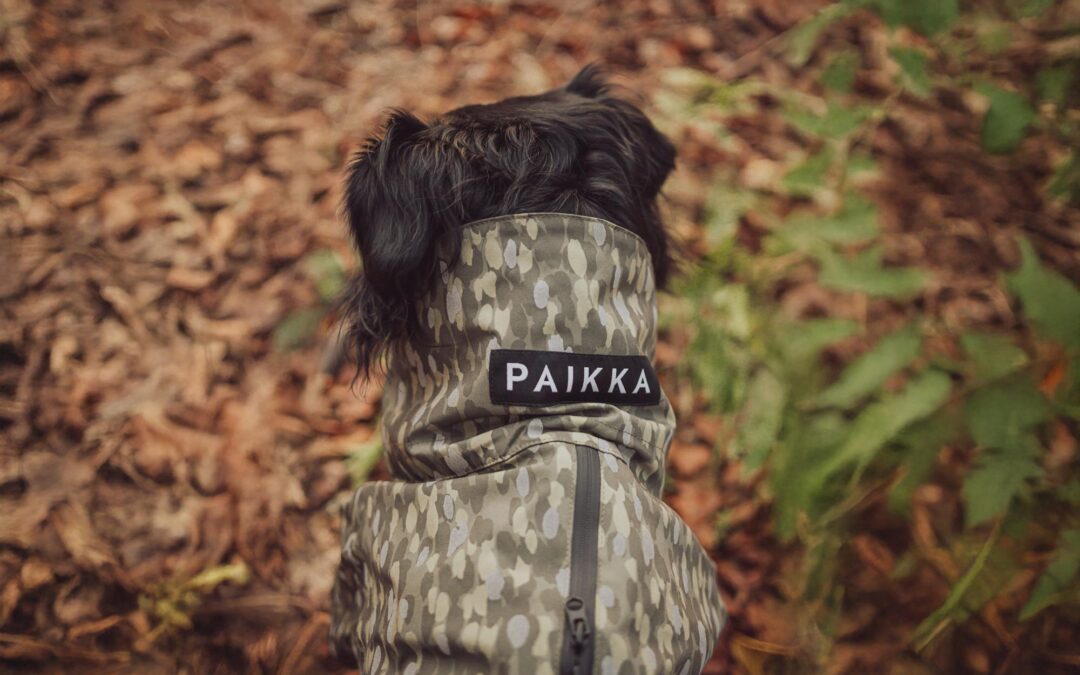 Content Creation Hundemantel Paikka