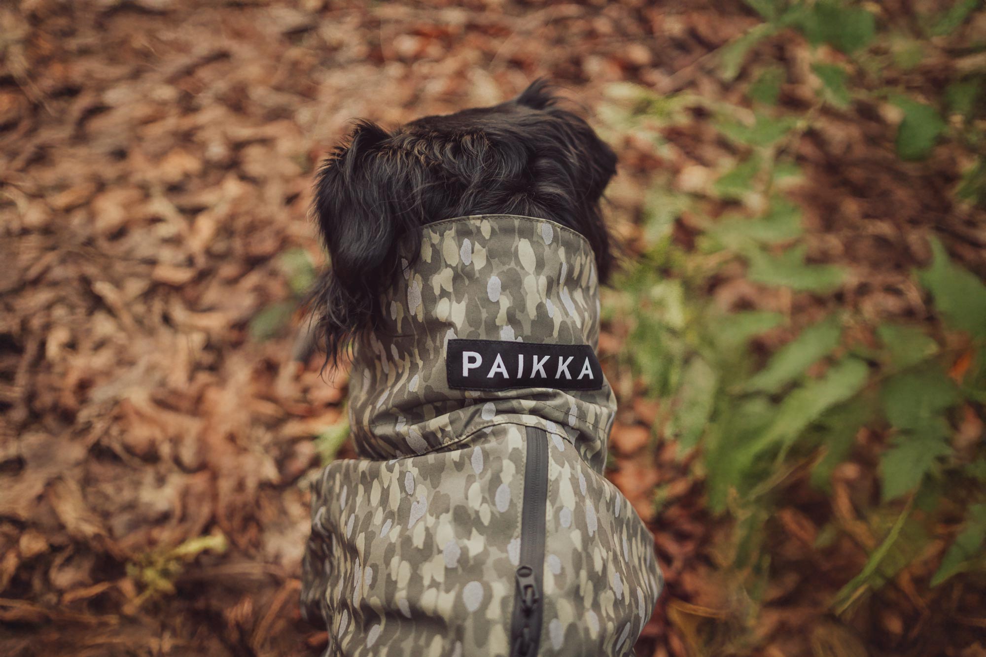 Content Kreation Hundemantel Paikka